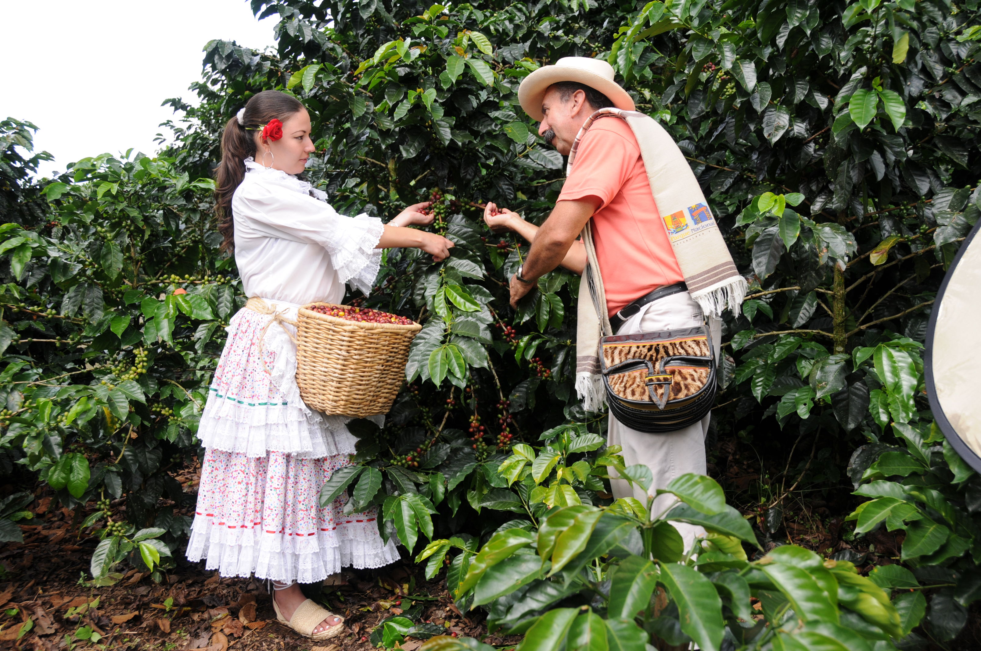 Parque Nacional del café, por german arturo gonzalez