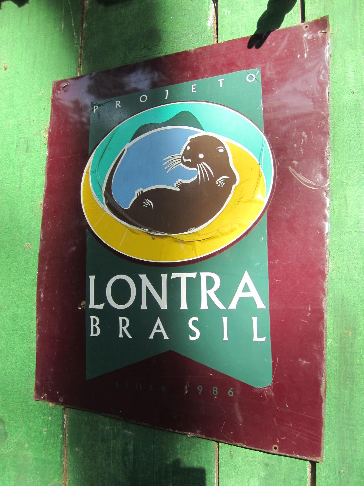 Projeto Lontras, por Anna Martinelli