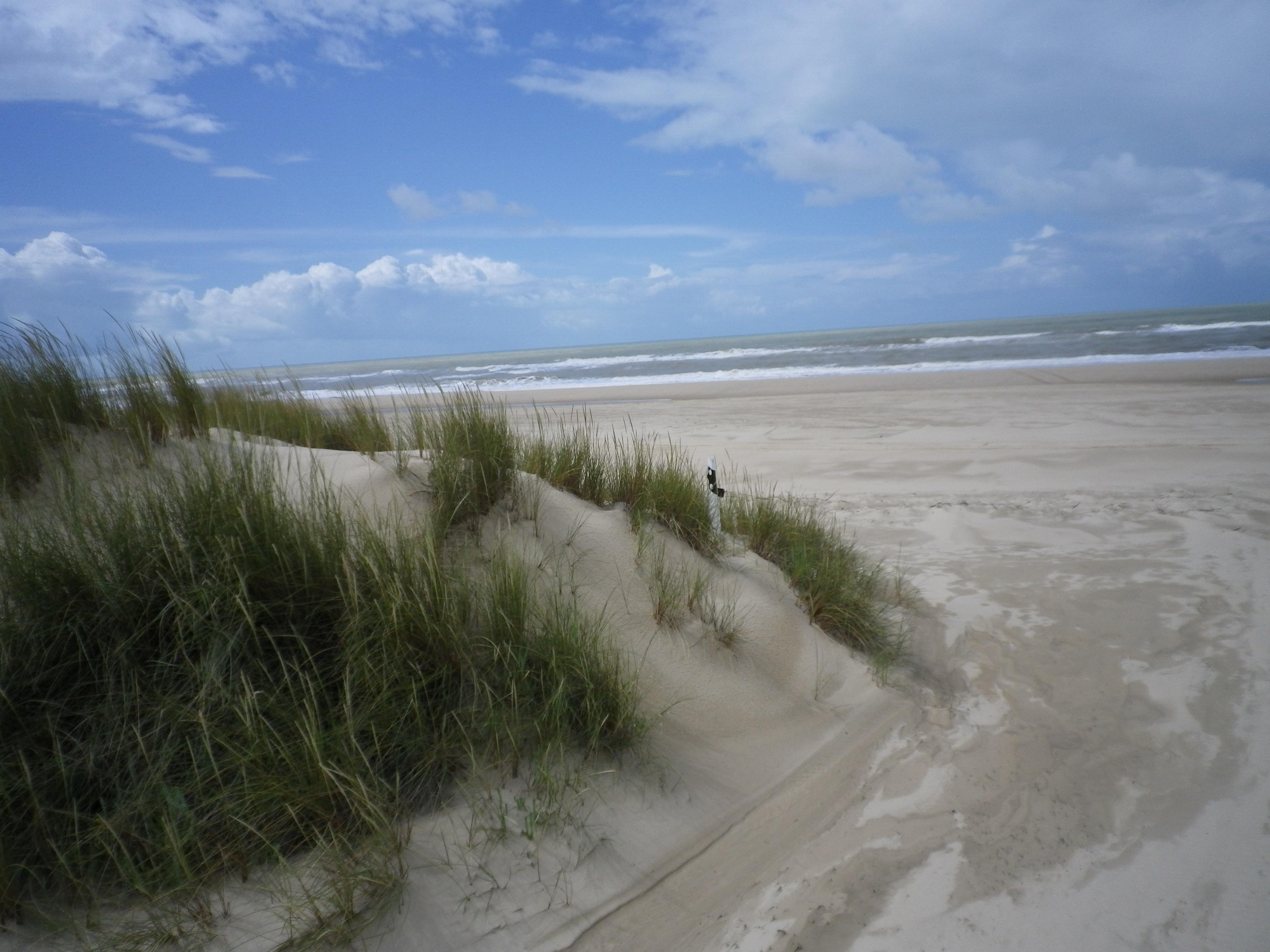 Doñana en 4x4, por Lola Fernandez