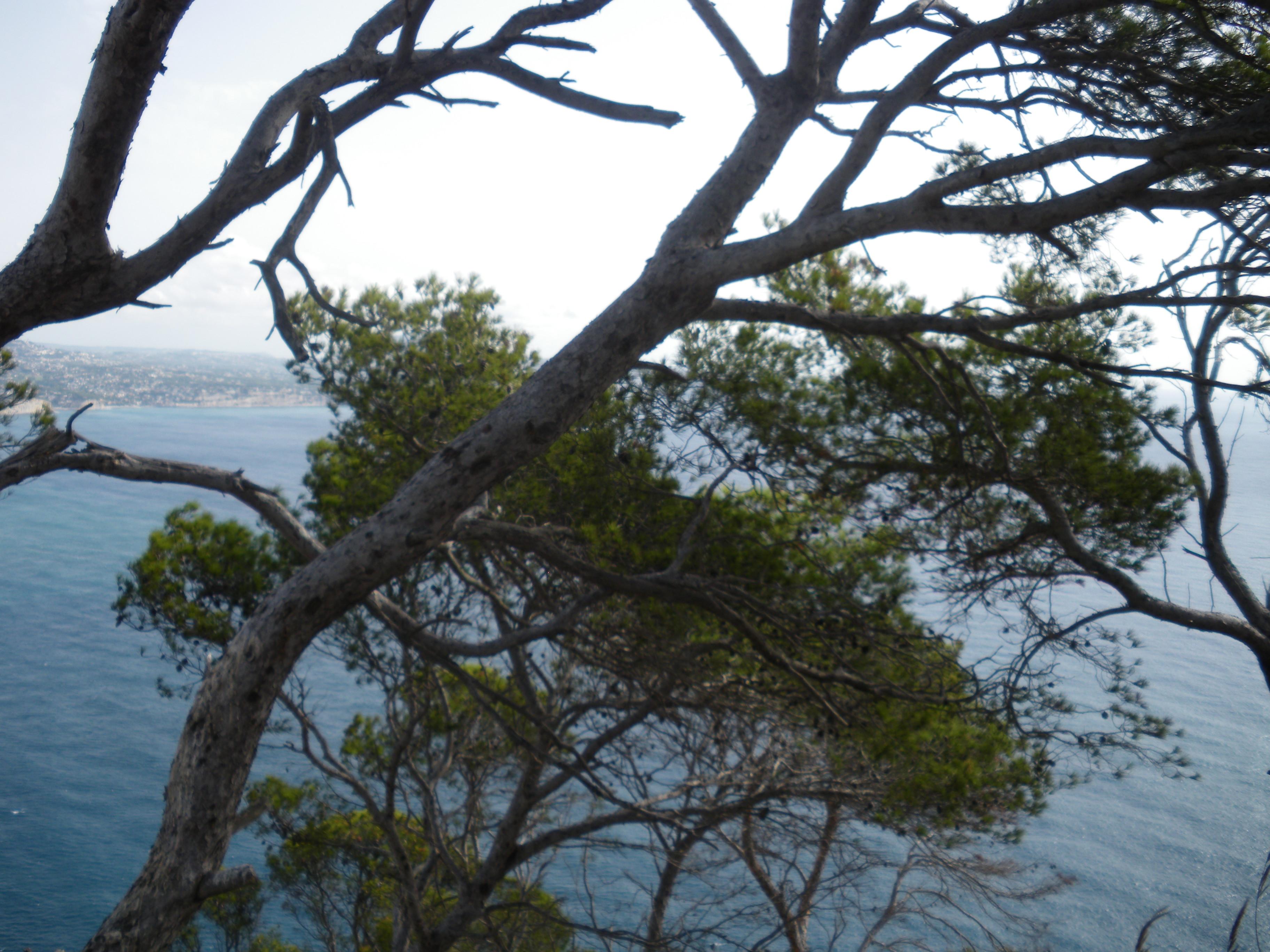 Playa de Begur (Costa Brava), por sergiuchi