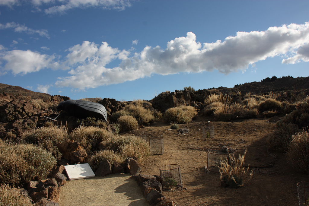 Jardin Botanico de las Cañadas del Teide, por nuria