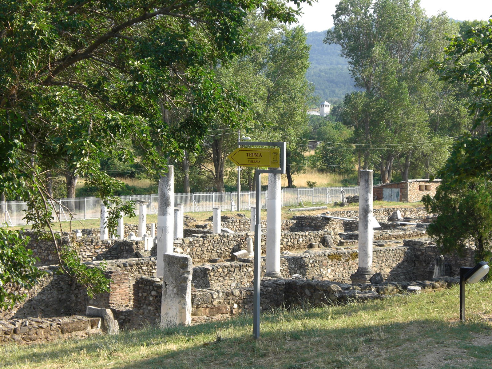 Heraclea, por guanche