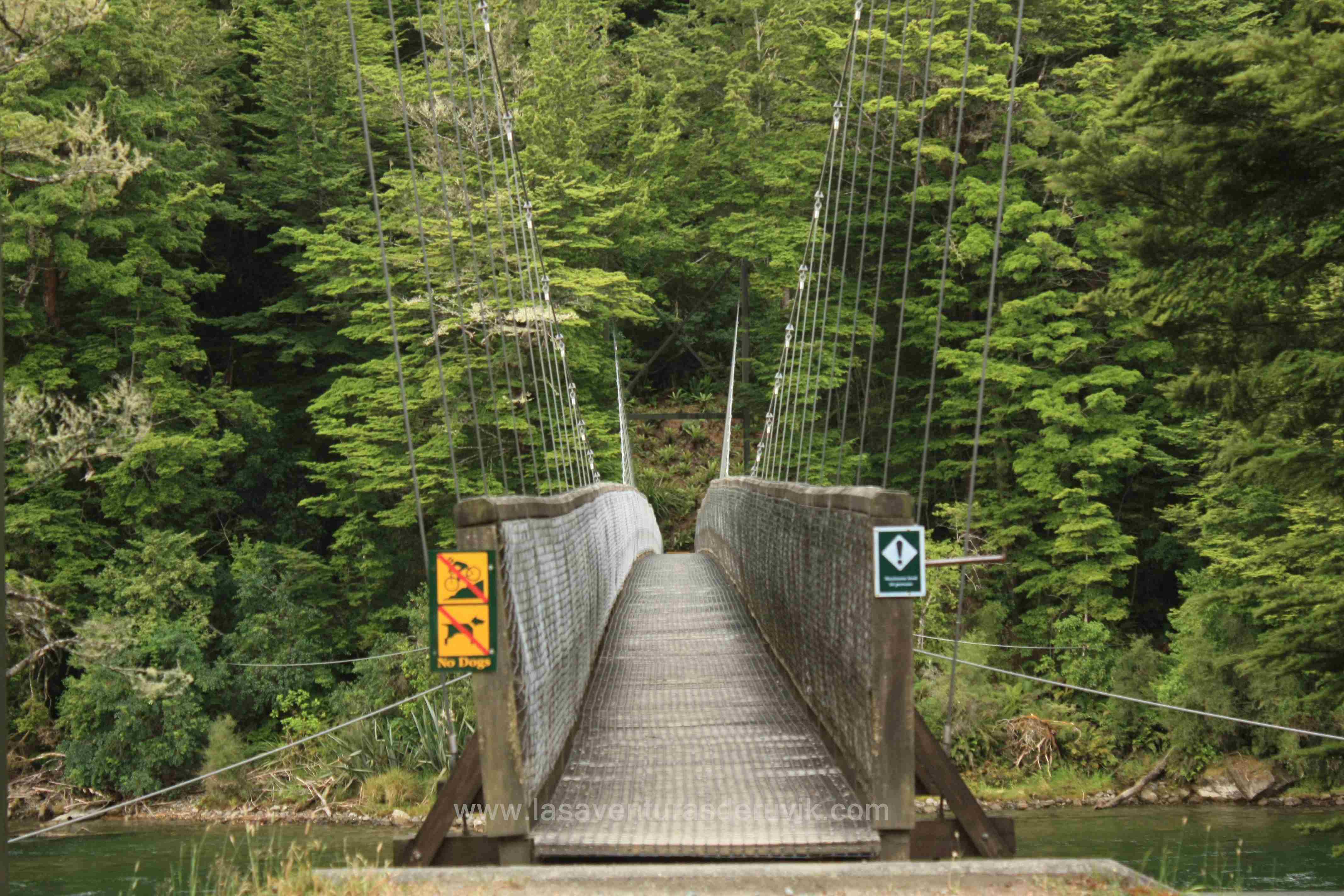 Vista Del Puente Colgante De La Suspensión Del Río Salmón En El