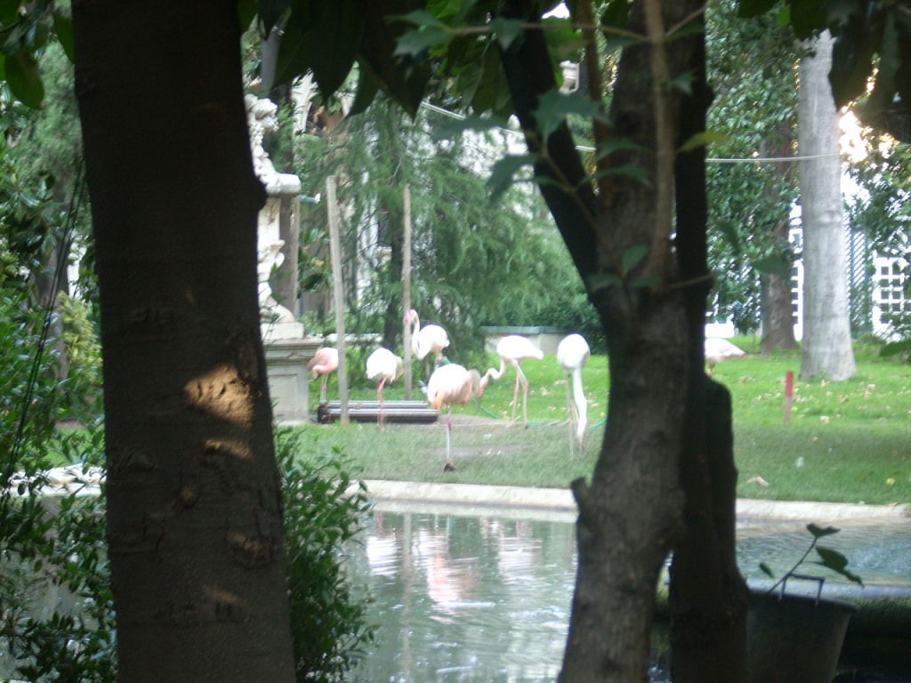 Jardines de Puerta Venezia, por AlexSandro