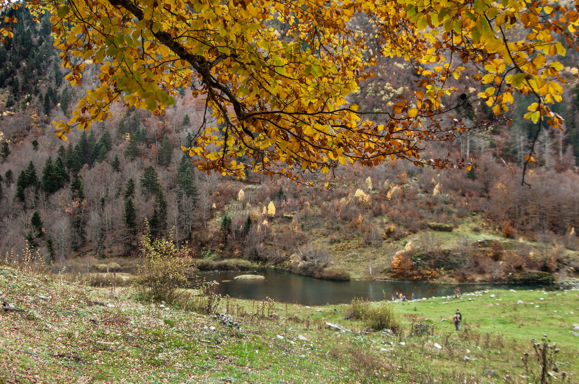 Valle de varrados, por Julián Nieves Camuñas