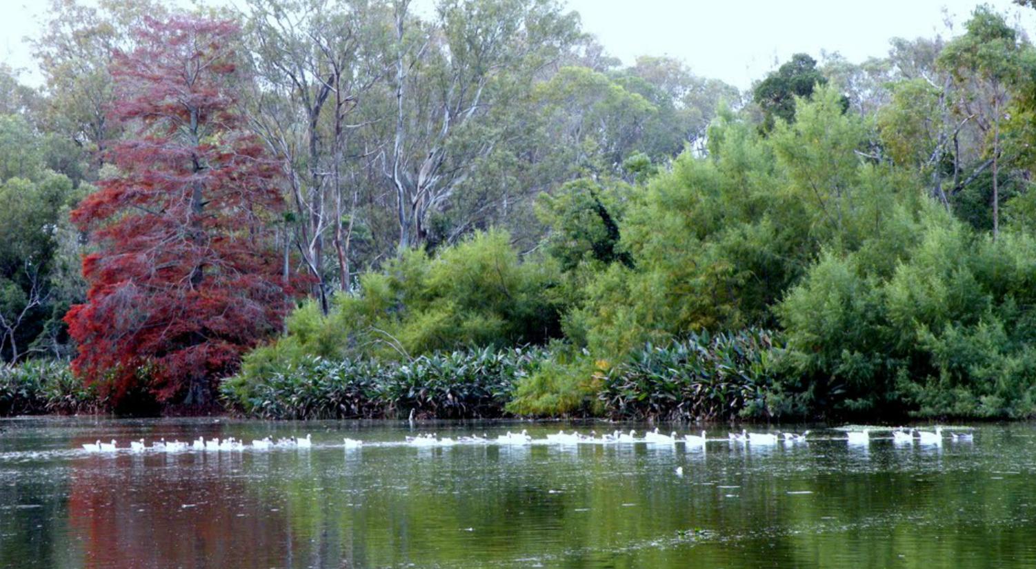 Parque Rivera, por Adriana Arias Simonovis