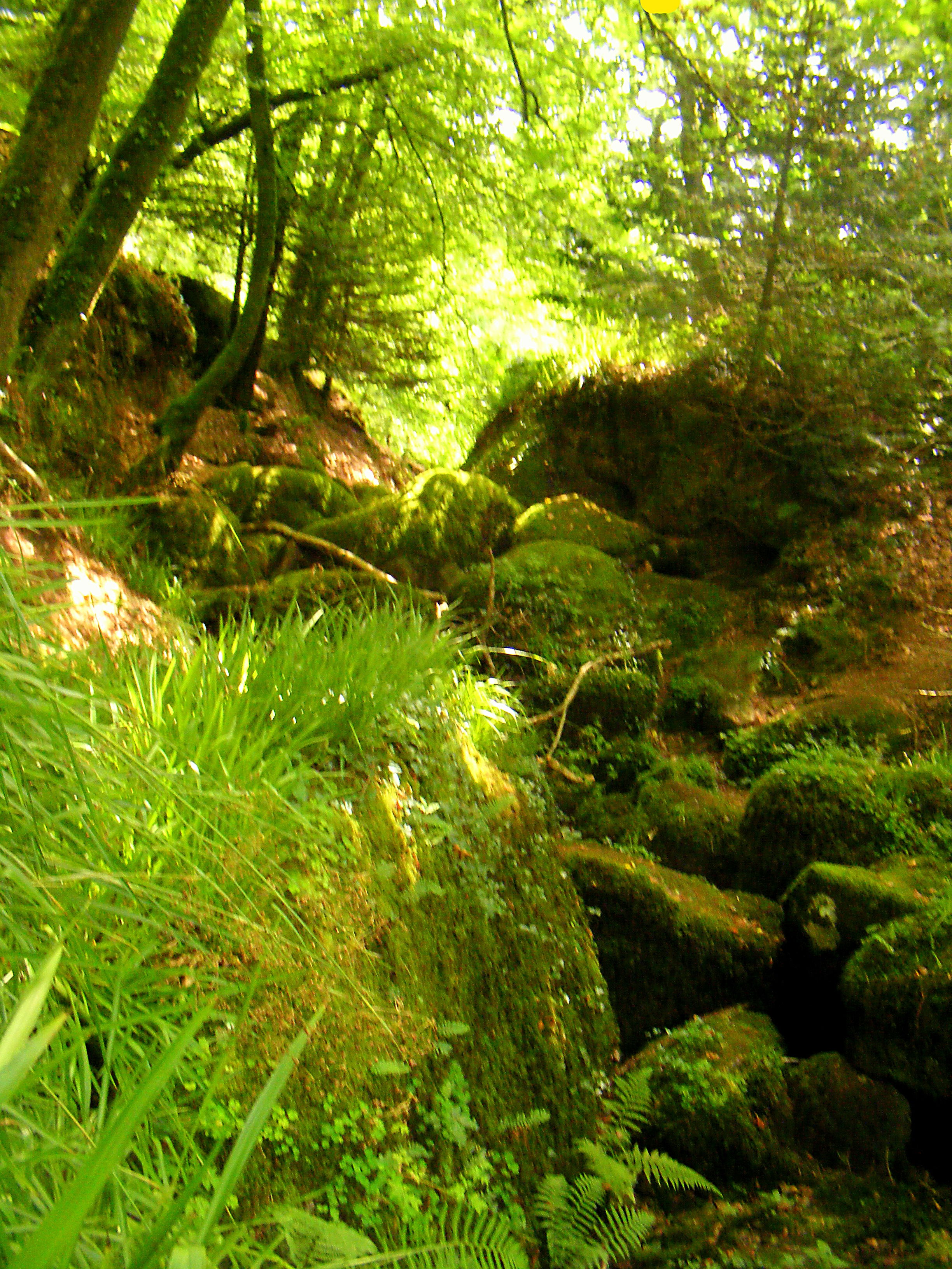 Bosque de Huelgoat, por Grégoire Sieuw