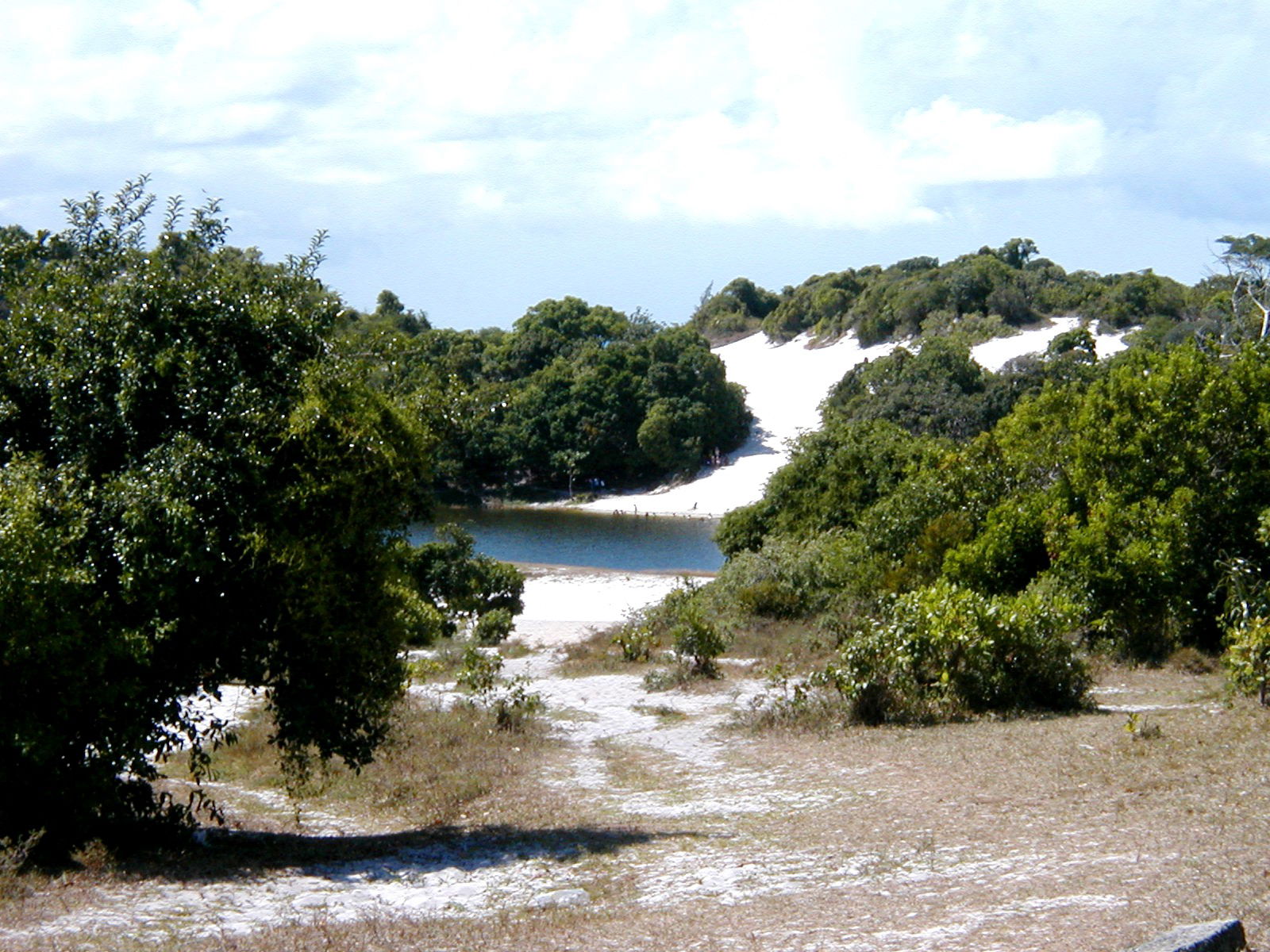 Laguna de Abaeté, por macgreg
