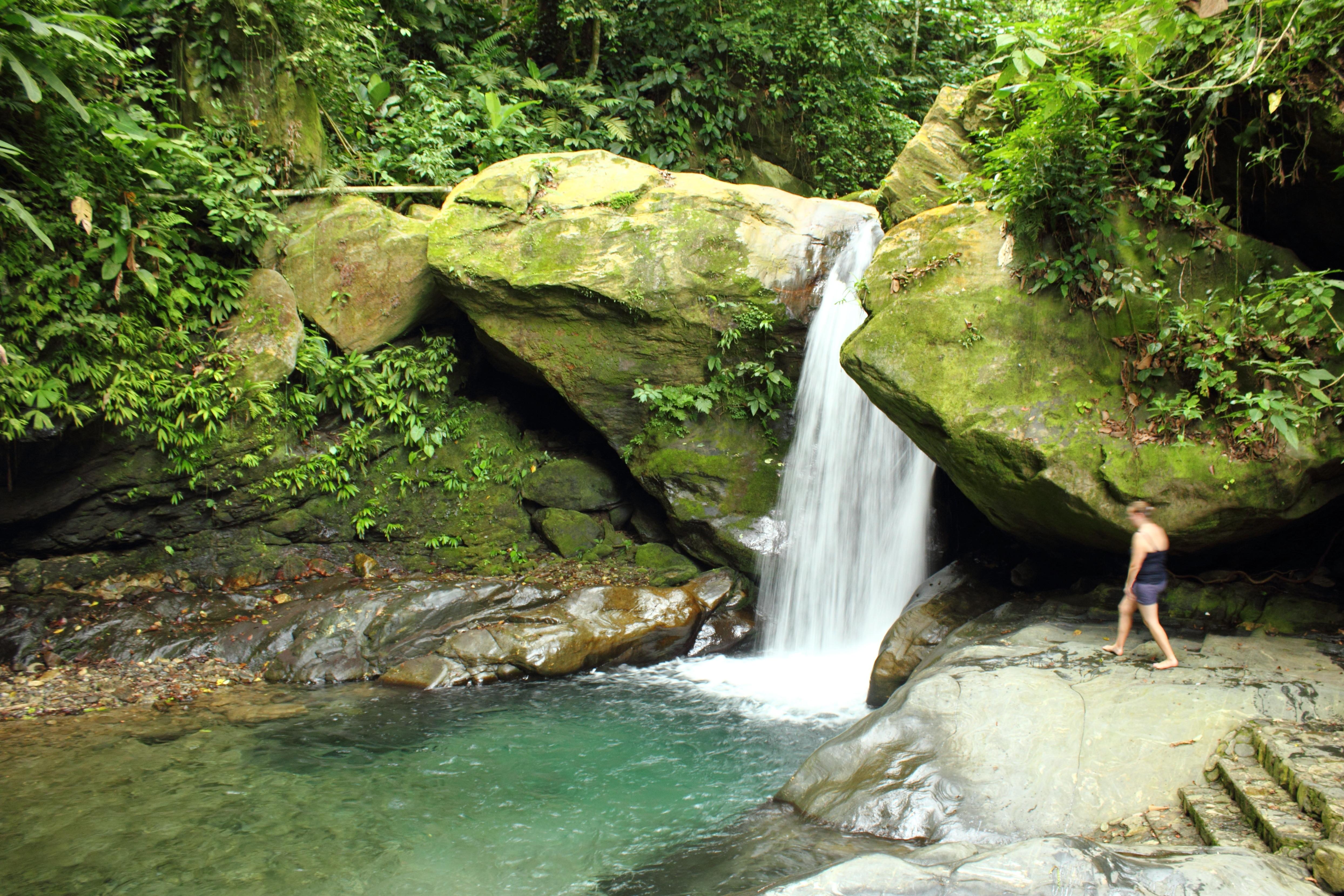 Reservas Naturales en Cortés, un refugio de biodiversidad y maravillas