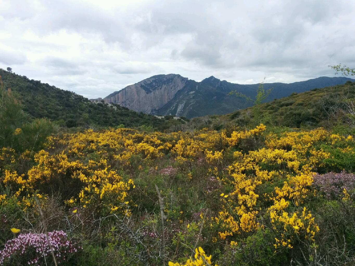 Sendero circular a los Mallos de Riglos, por Ana Alvarez