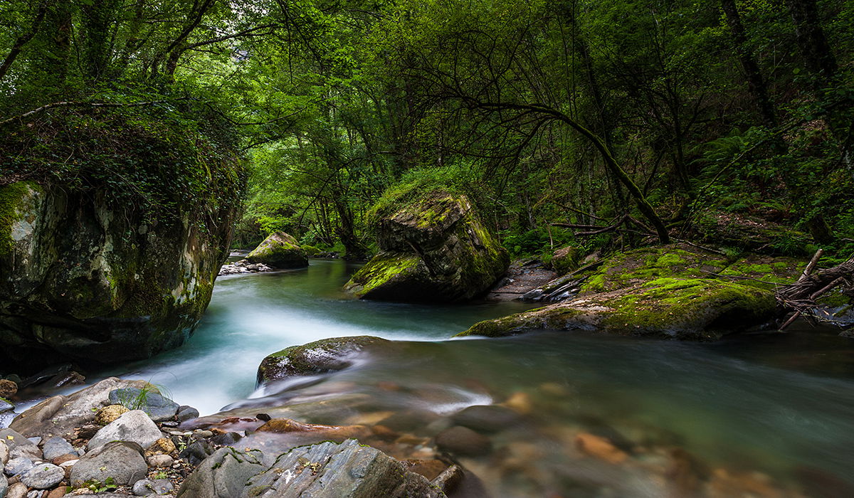 Bosques de Lugo, refugios naturales que enamoran en cada estación