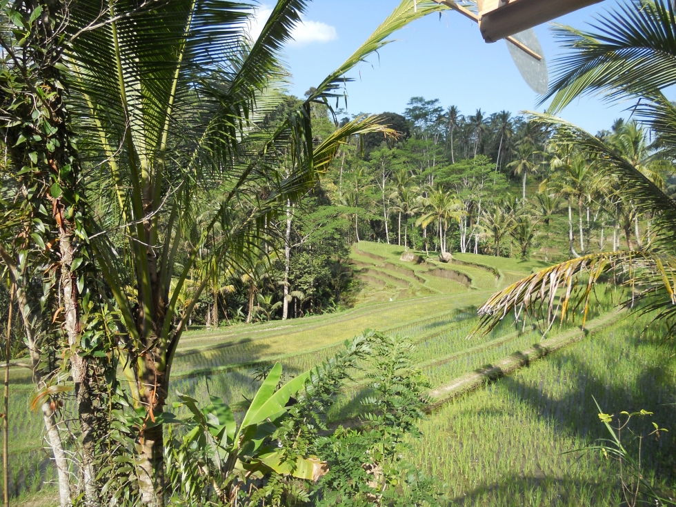 Gunung Kawi, por Coline