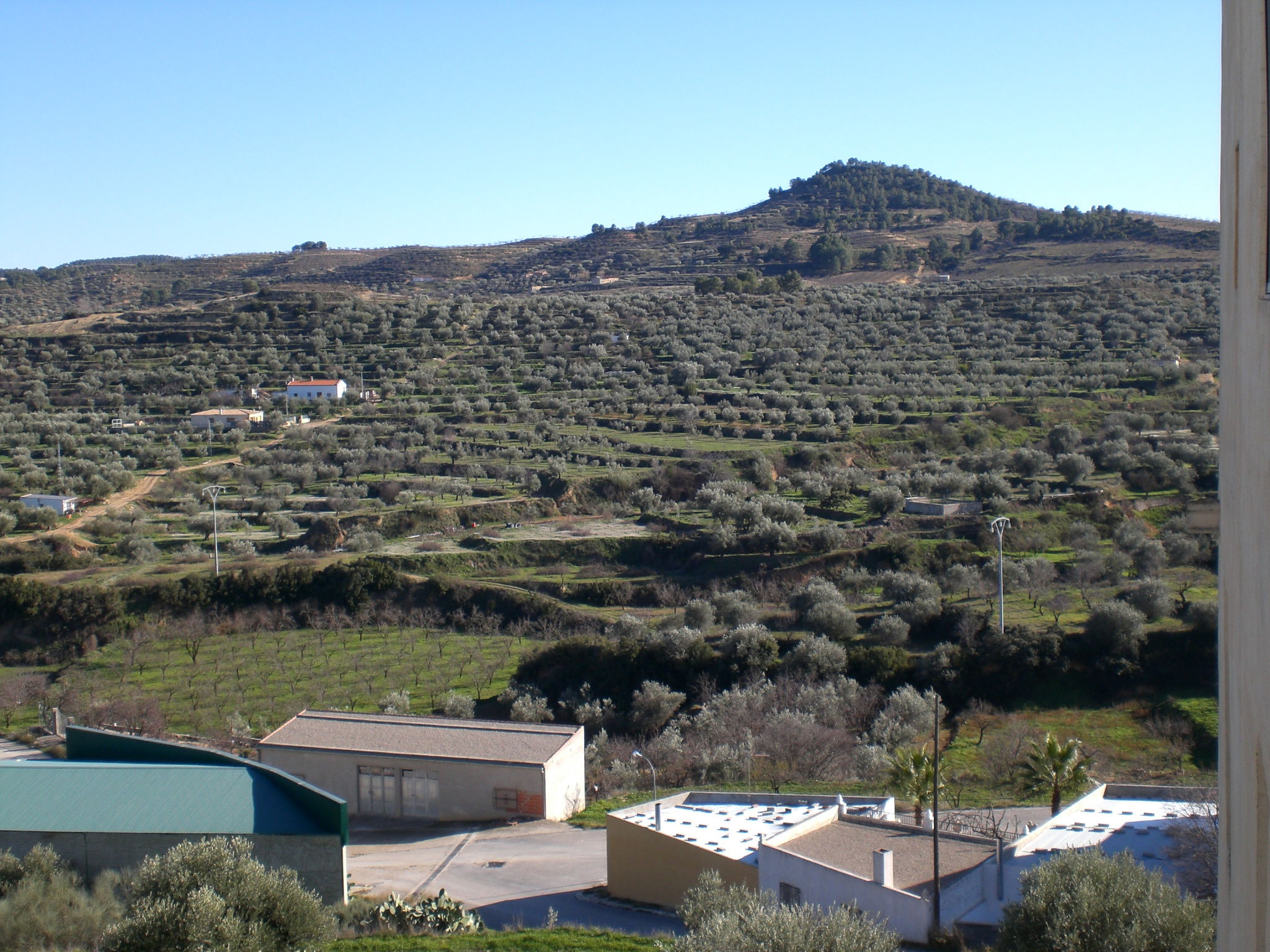 Mirador de Férez, por sala2500