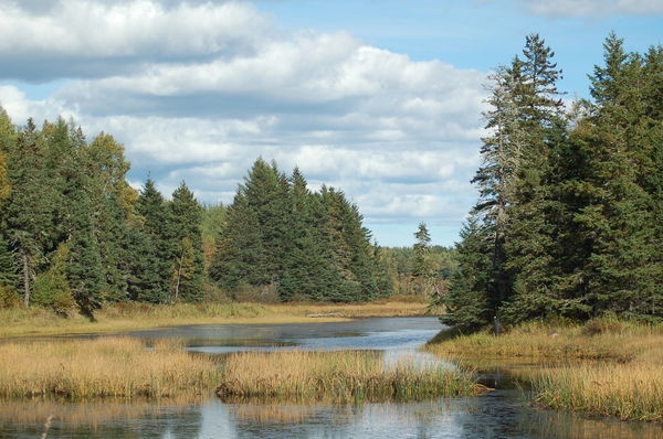 Parque nacional KouchiBouguac, por Roland Flutet