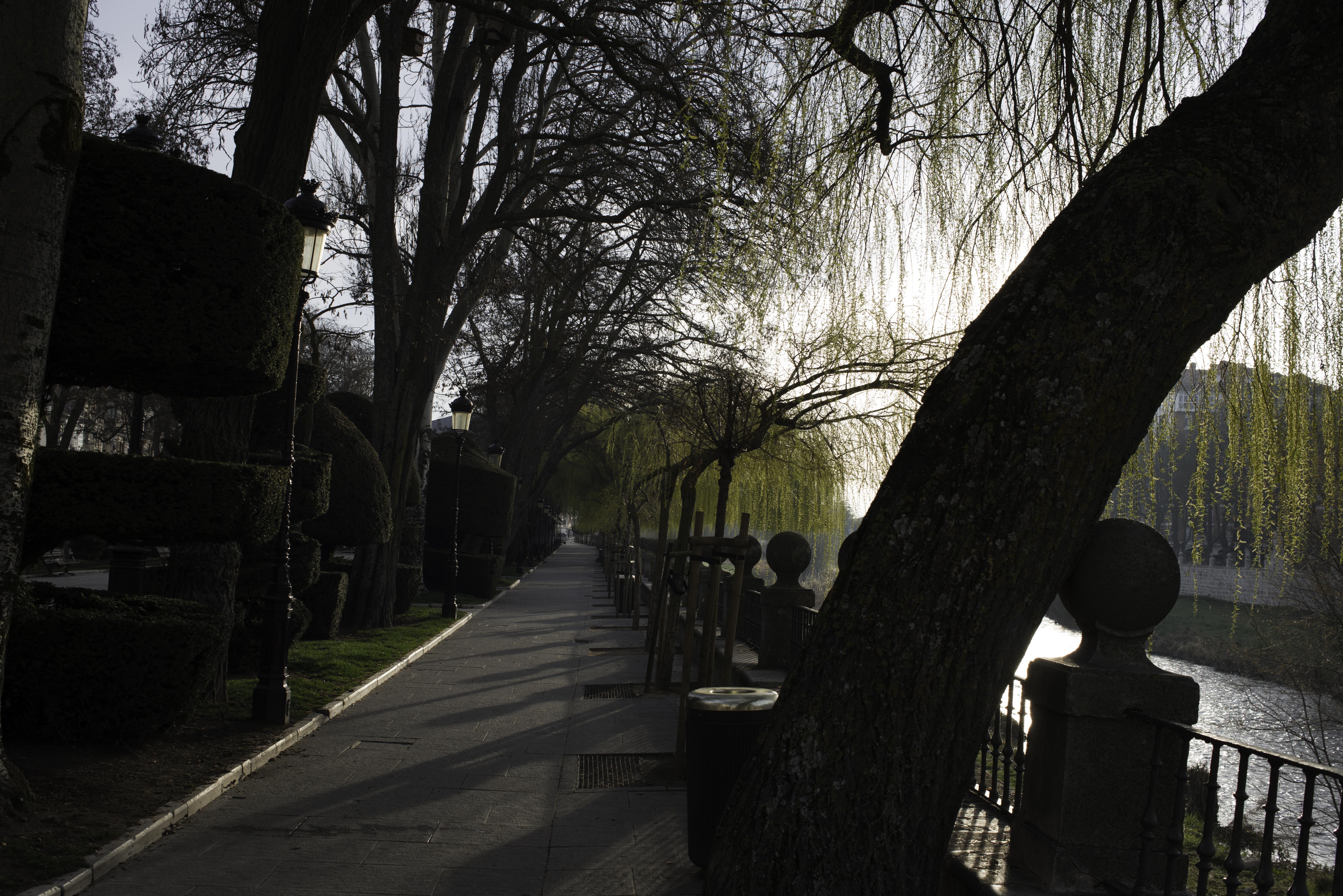 Excursiones por Toro para recorrer la ciudad