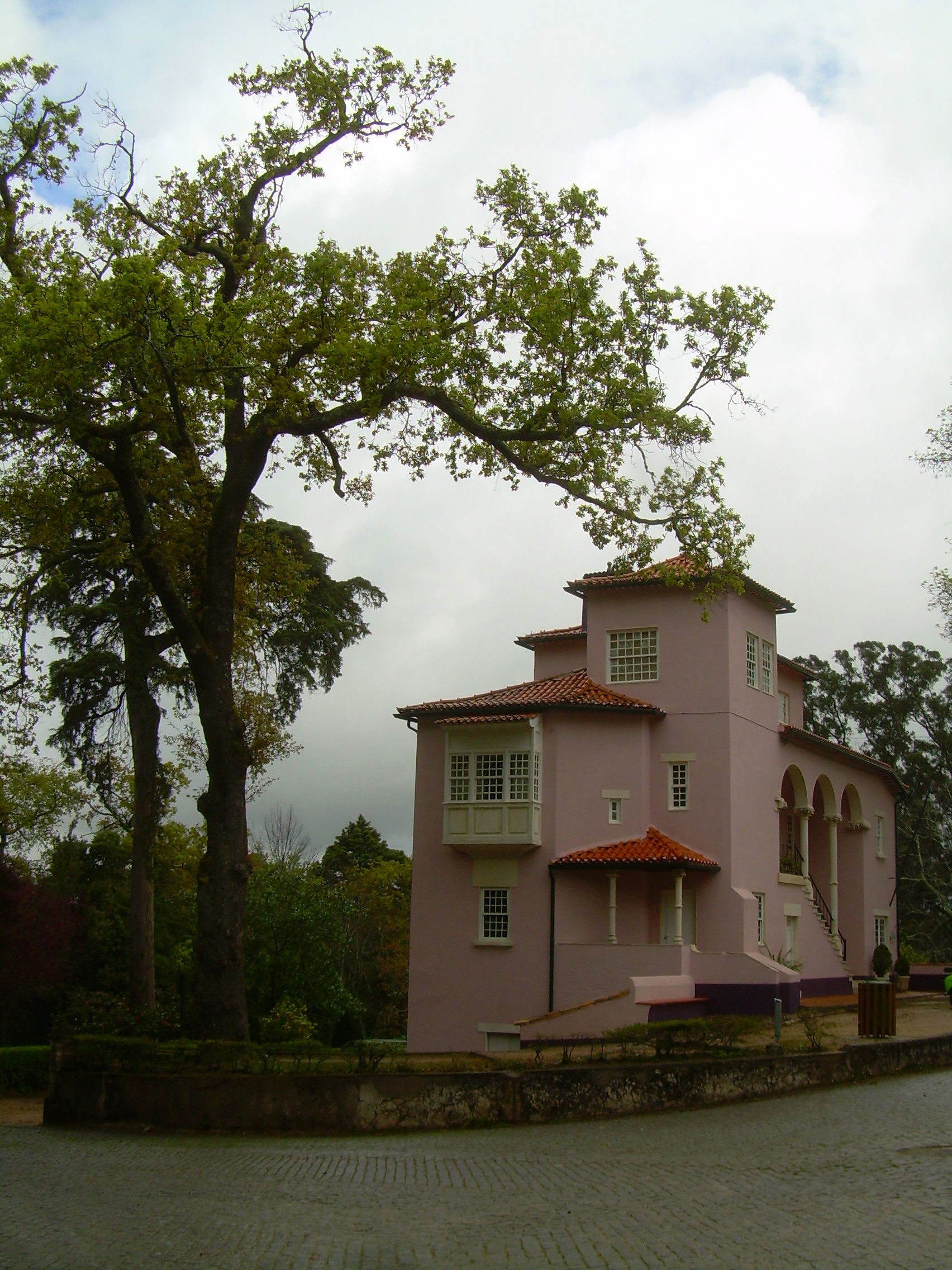 Jardines de Buçaco, por mmozamiz