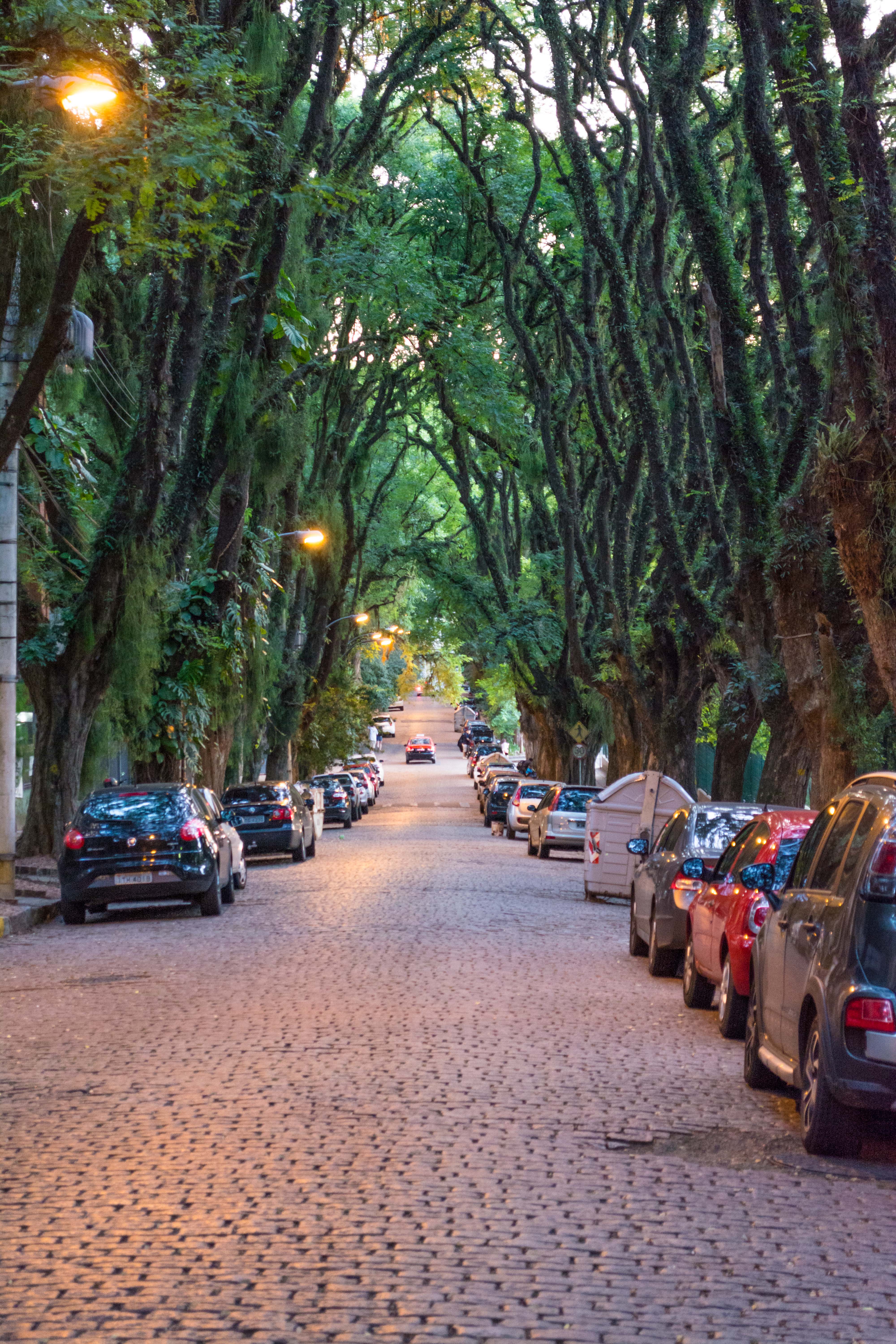 Calle Gonçalo de Carvalho, por Eládio Ferreira