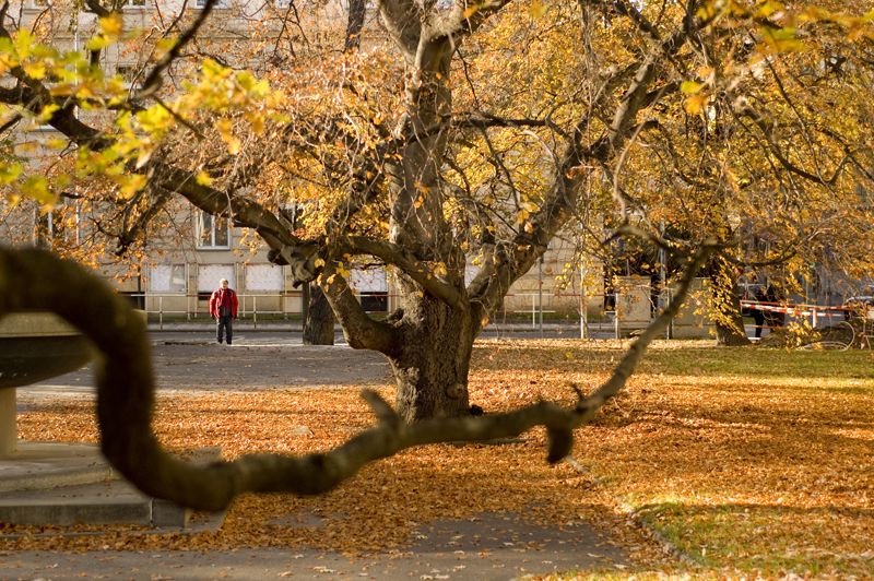 Parque Dienzenhofevory Sady, por Sebastian Muñoz