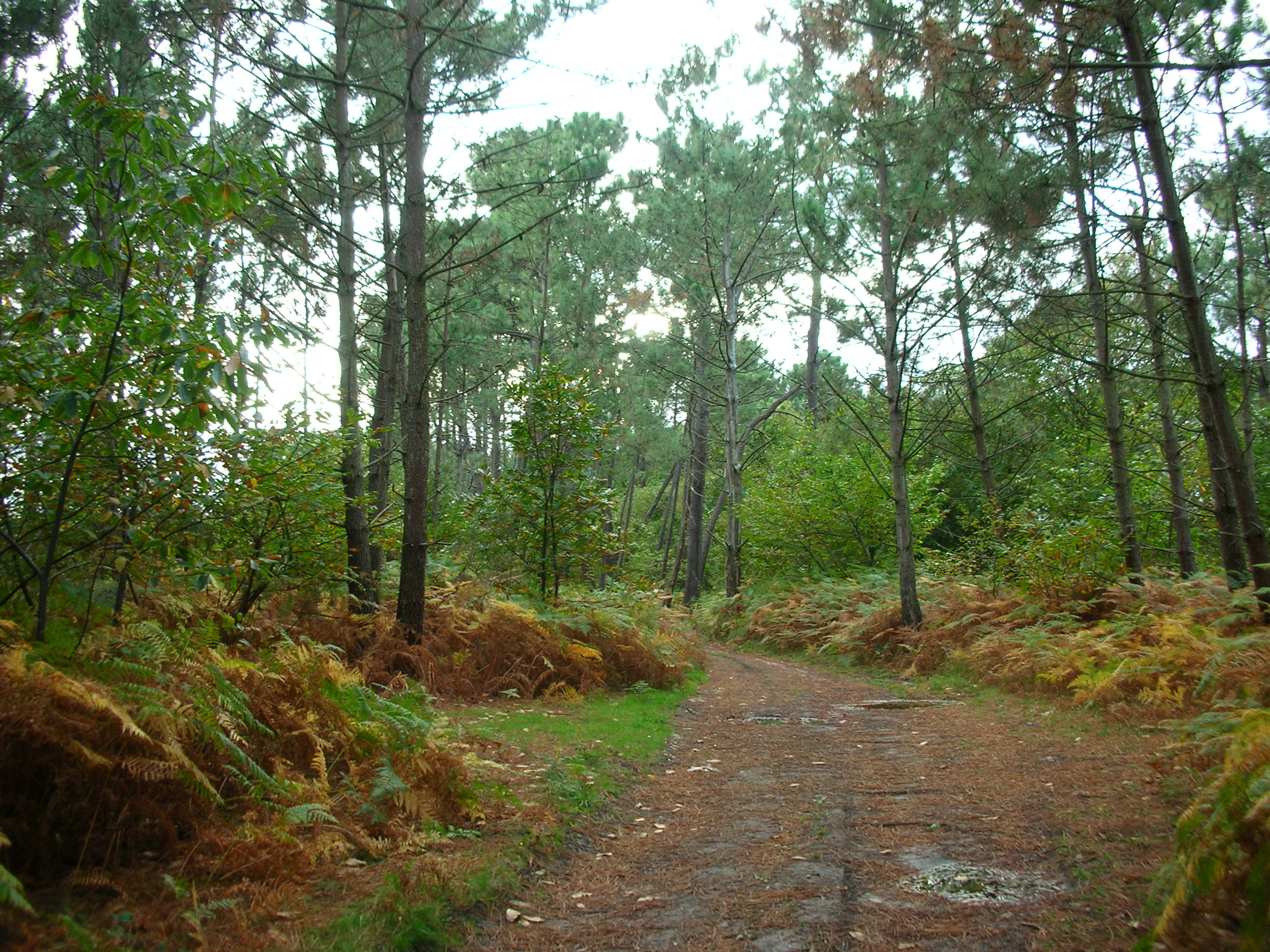 Área recreativa Monte Valsera - Cudillero, por Elena Rico