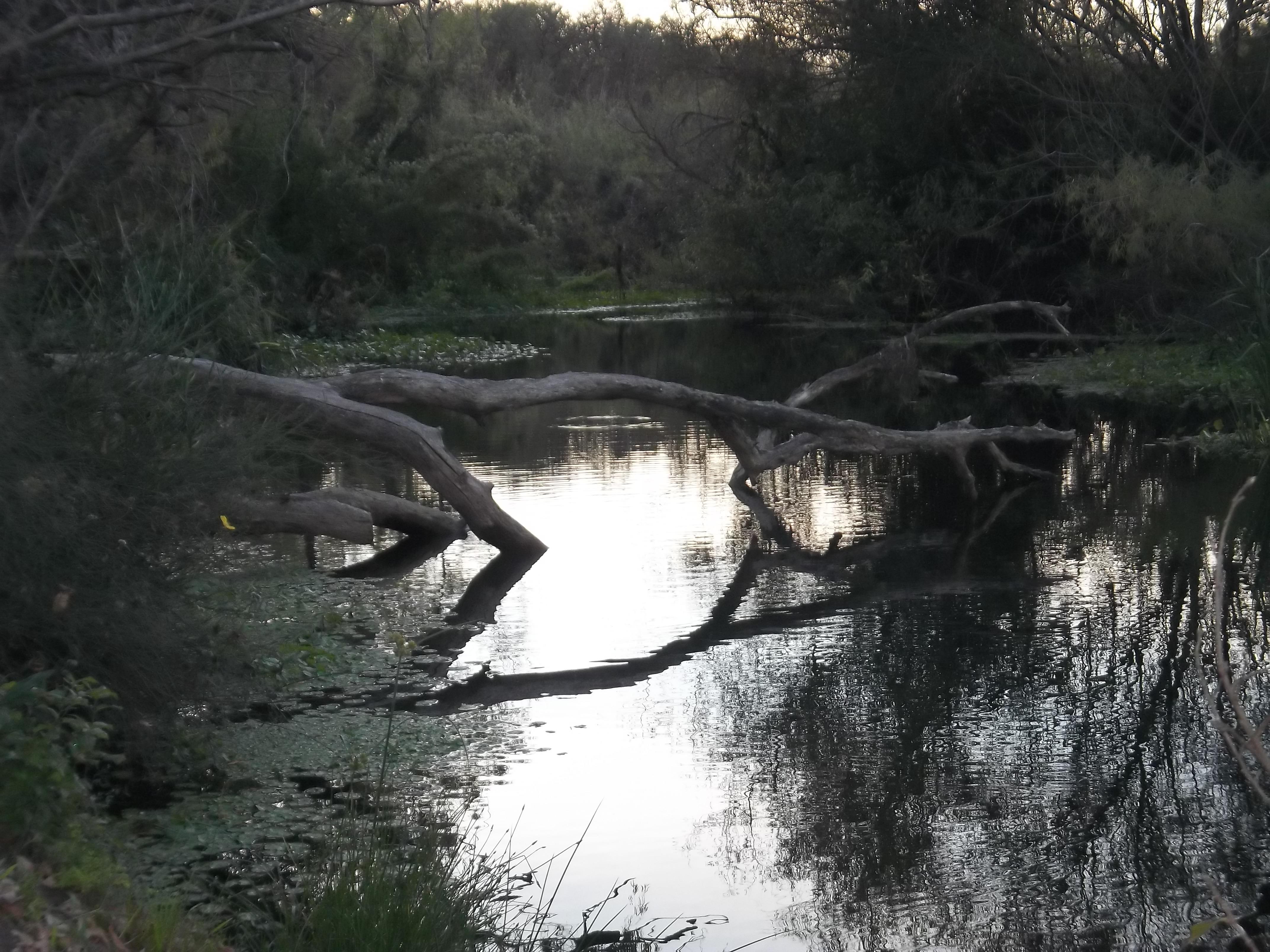 Arroyo Ayui Grande, por caputo maria florencia