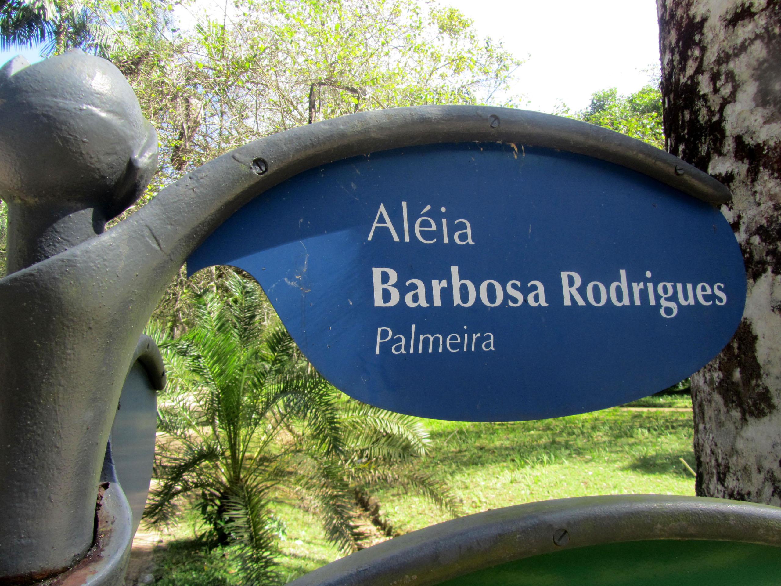 Avenida de las Palmas João Barbosa Rodrigues, por Marta Pilar
