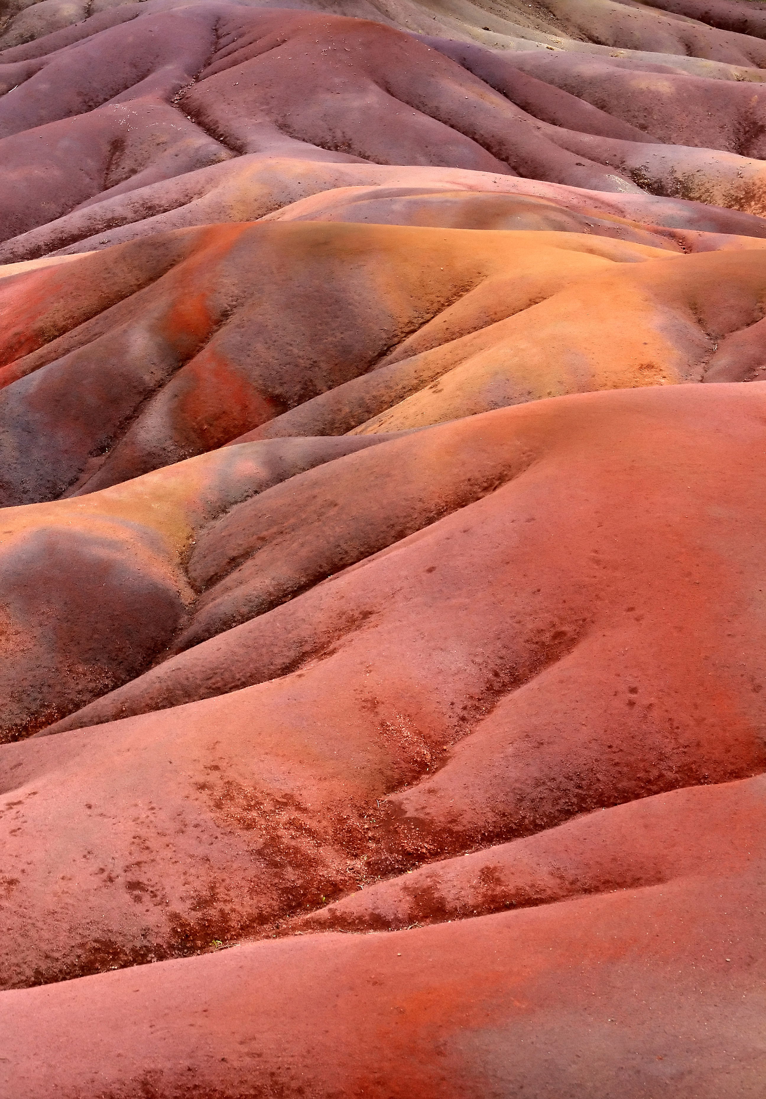 Tierra de siete colores, por roger de marfa