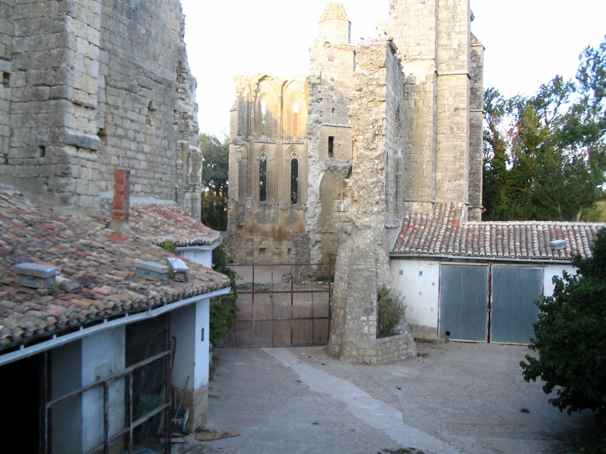 Ruinas del convento de San Antón, por Joxu