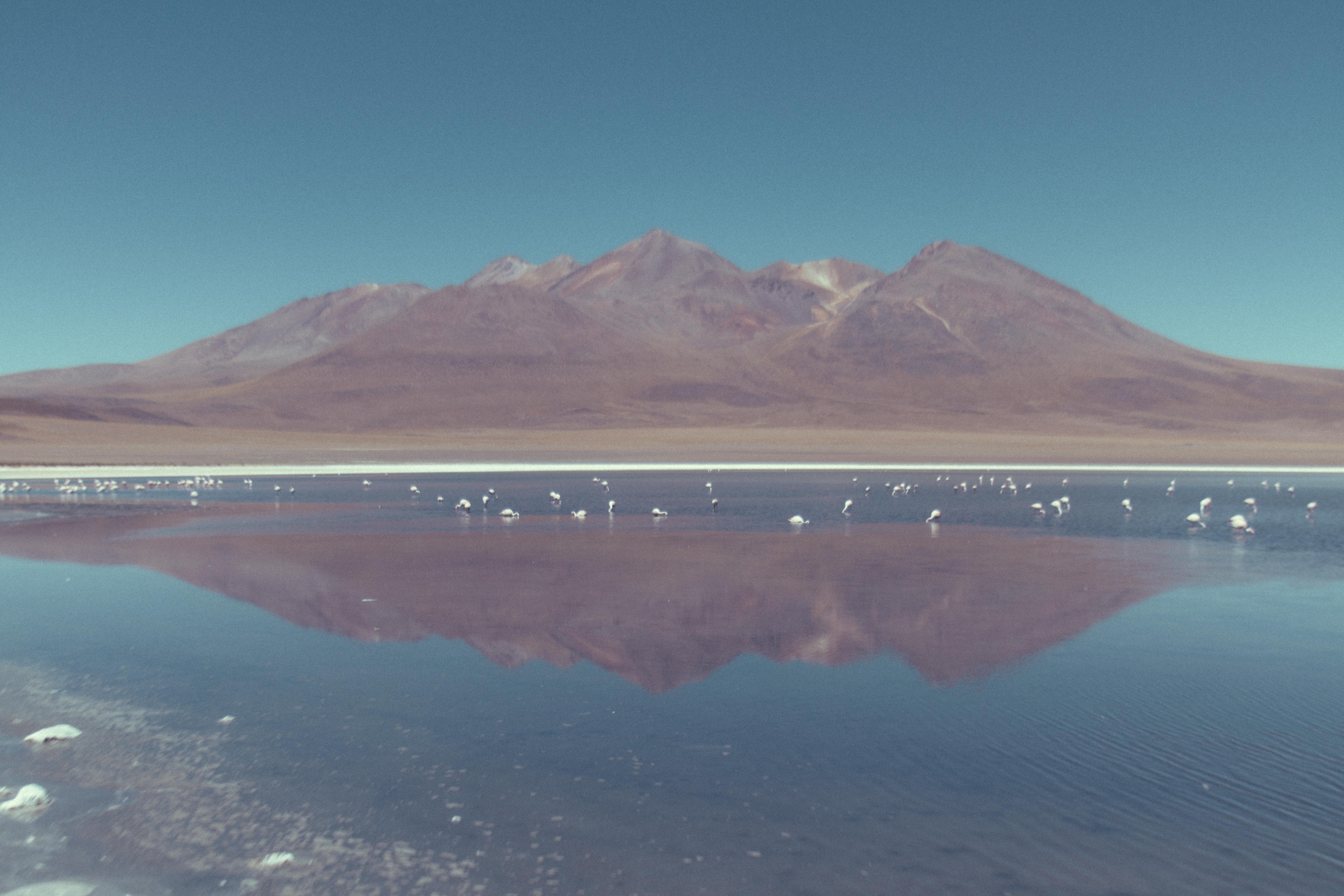 Reservas naturales en Potosí: explorando la biodiversidad y belleza natural