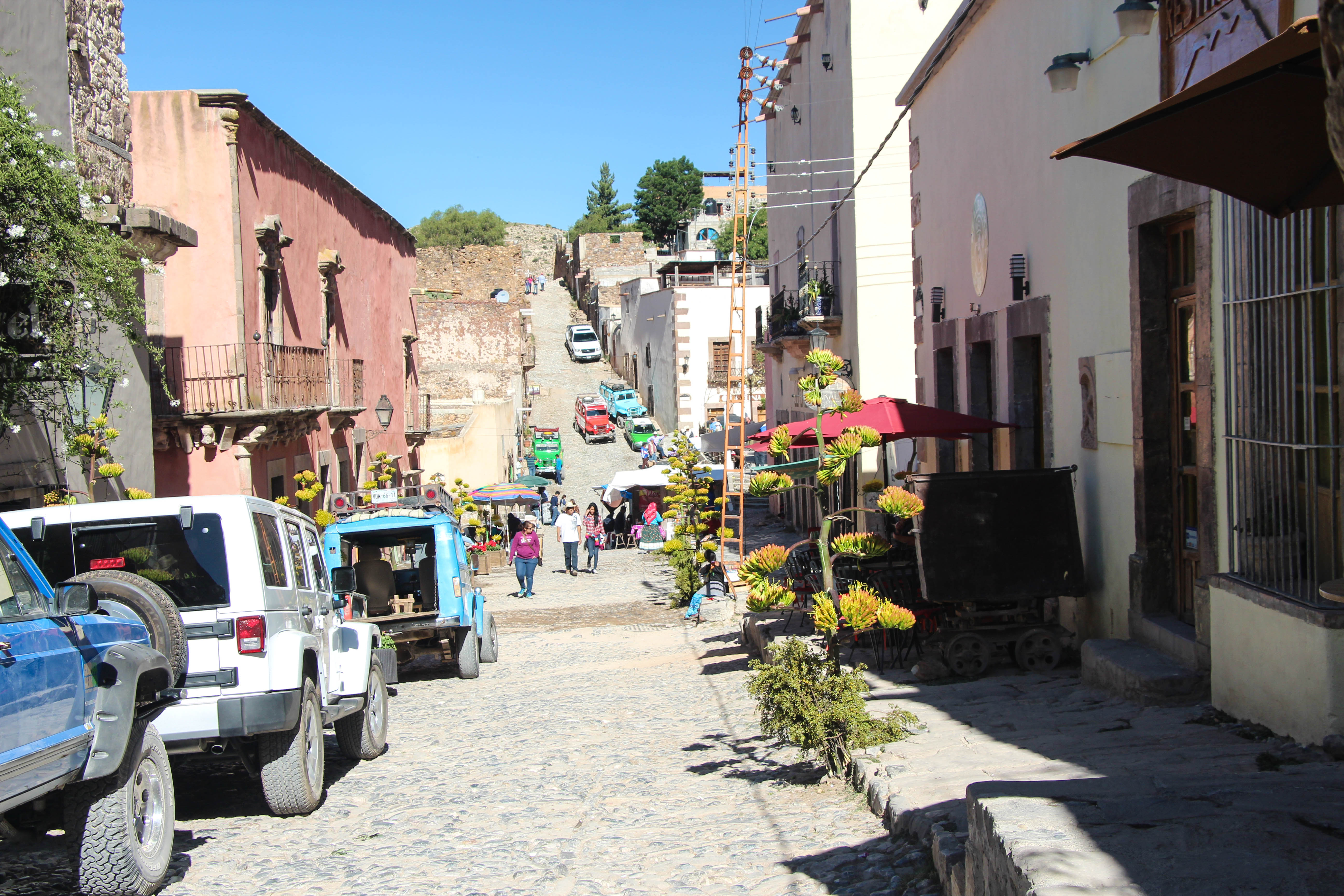 Calle Lanzagorta, por Diana Patricia Montemayor Flores