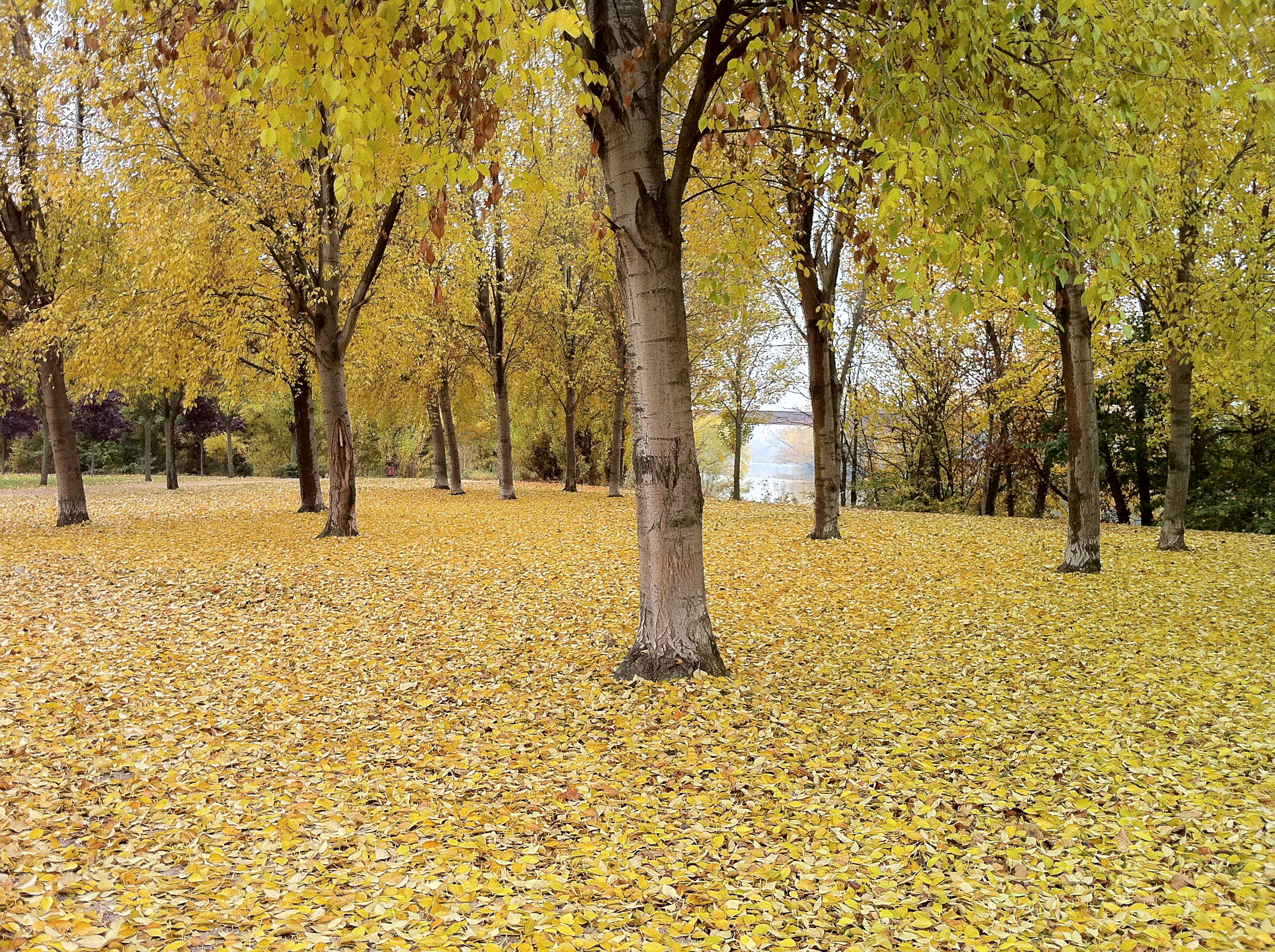 Parque Ribera de Castilla, por Daniel Arechiga Cabrera