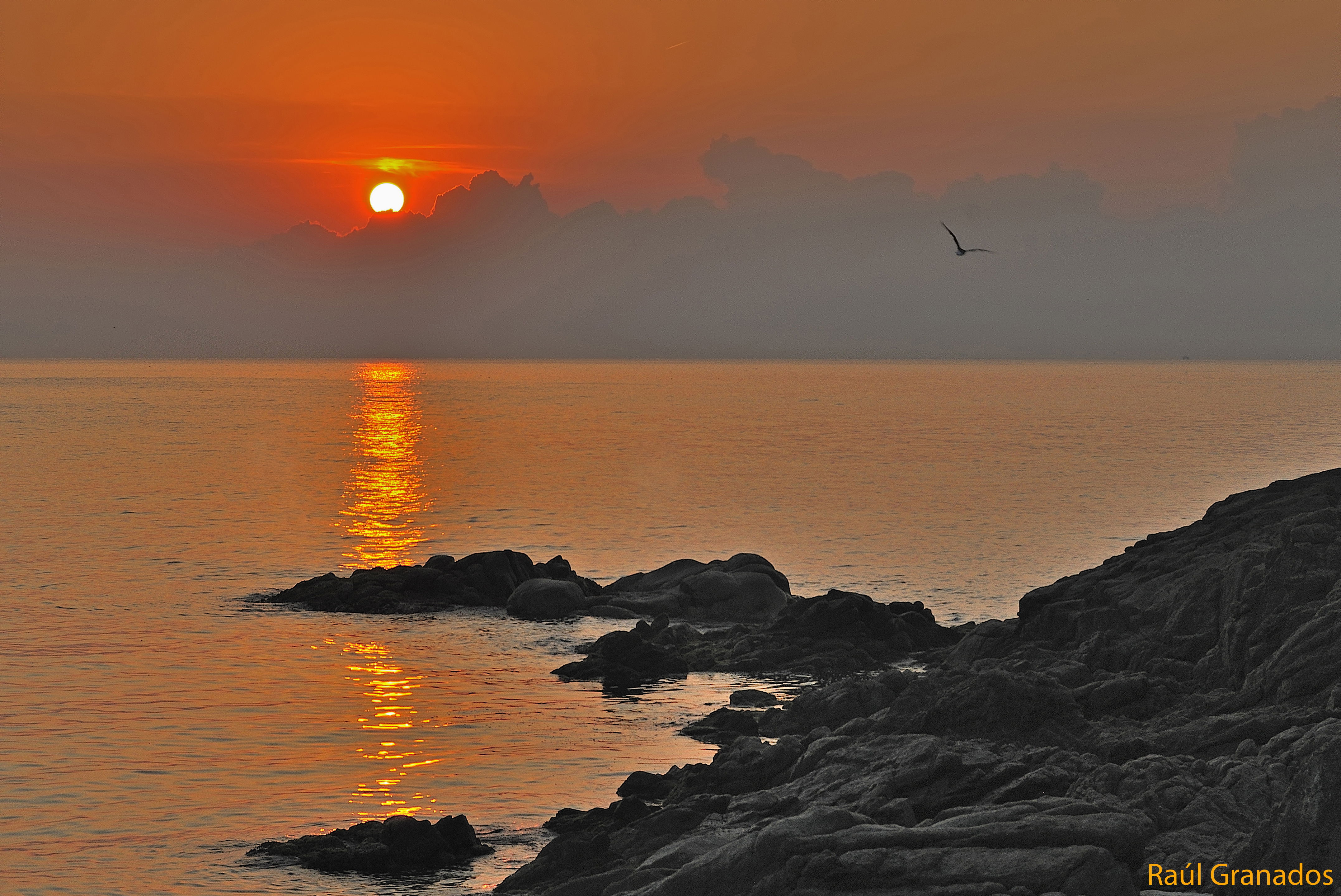 Calas en Blanes que te robarán el aliento y te conectarán con la naturaleza