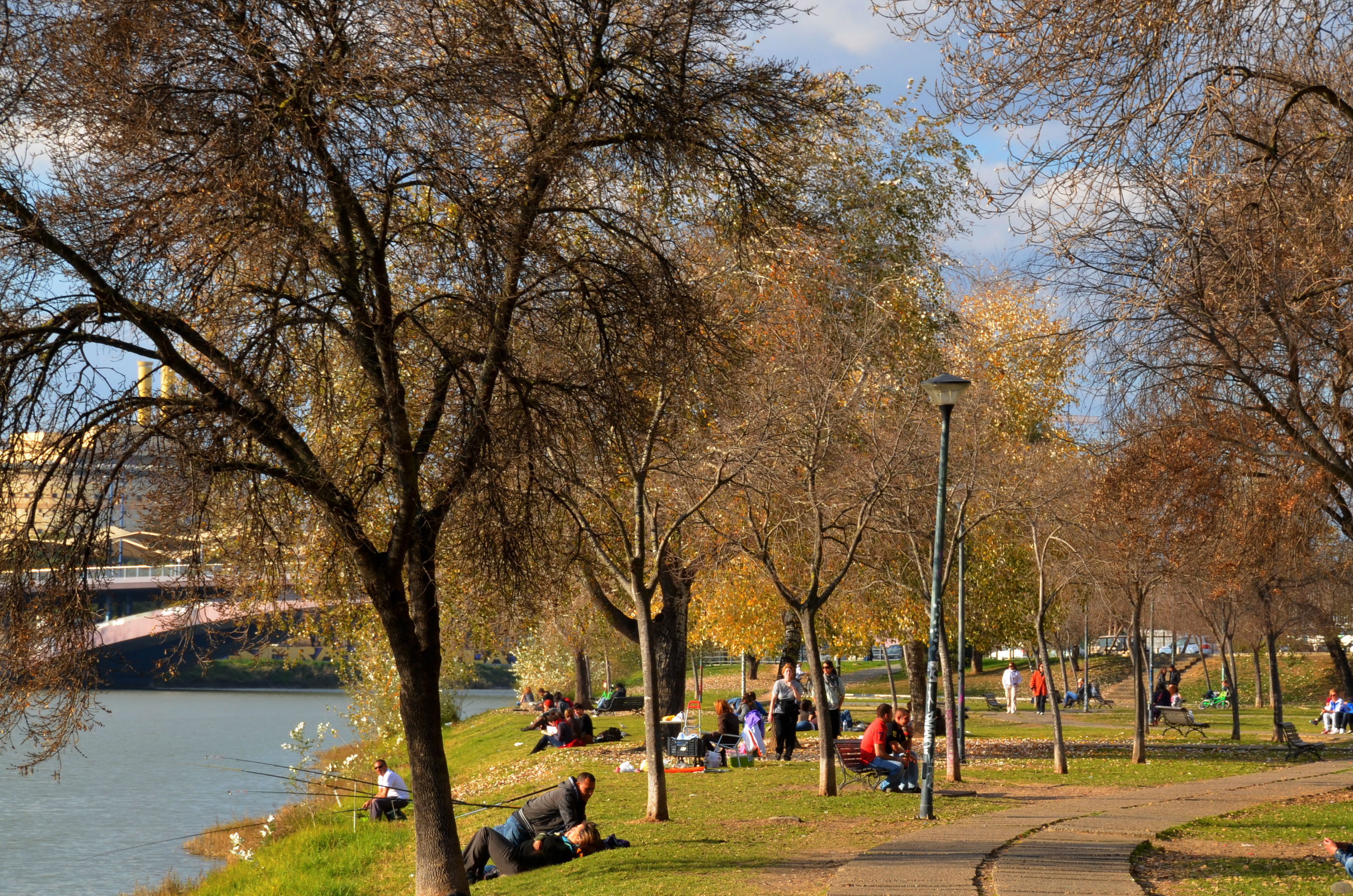 Jardines del Guadalquivir, por Miguel Egido