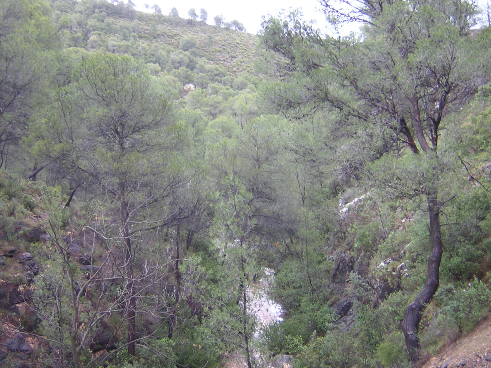 Sierra Espuña, por SerViajera