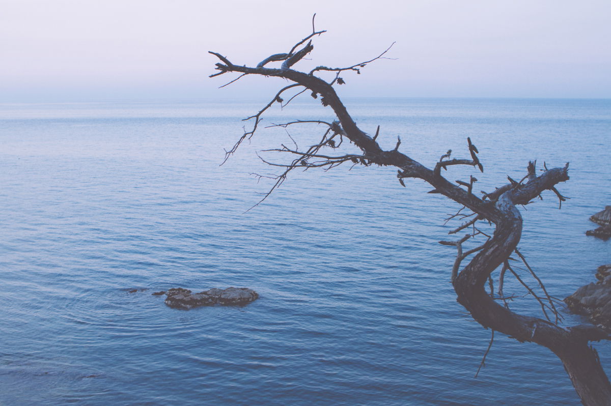 Cap Roig, por Jordi Rulló Falcó