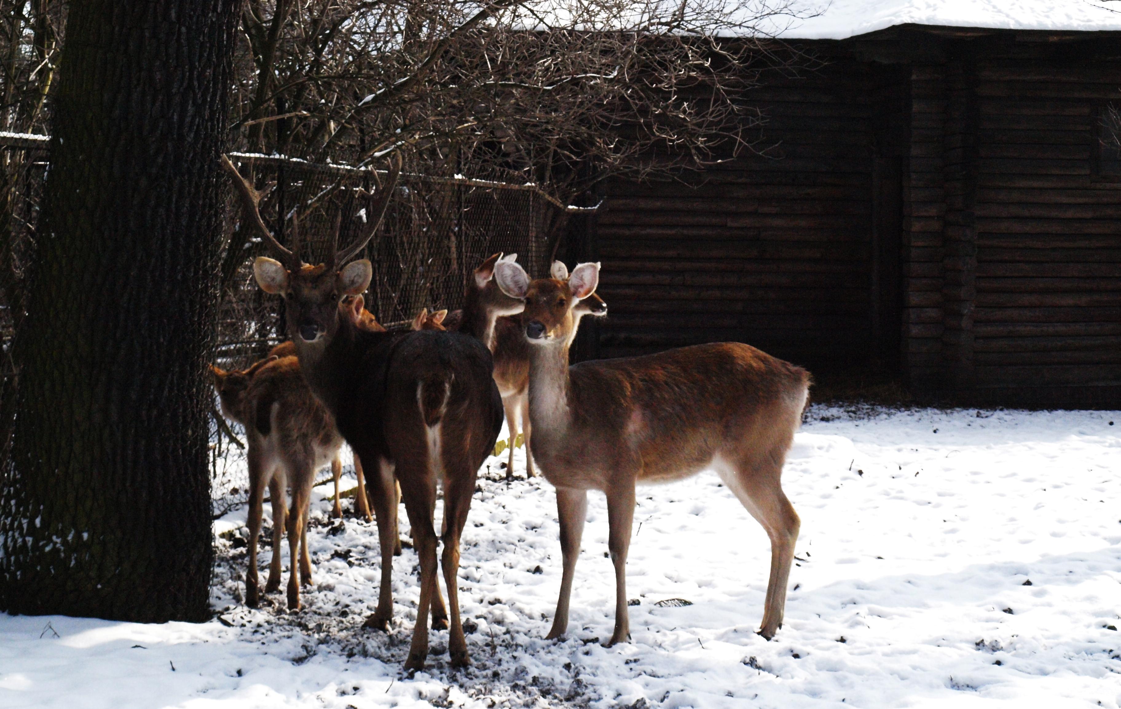 Zoo de Wroclaw, por Cristina E Lozano