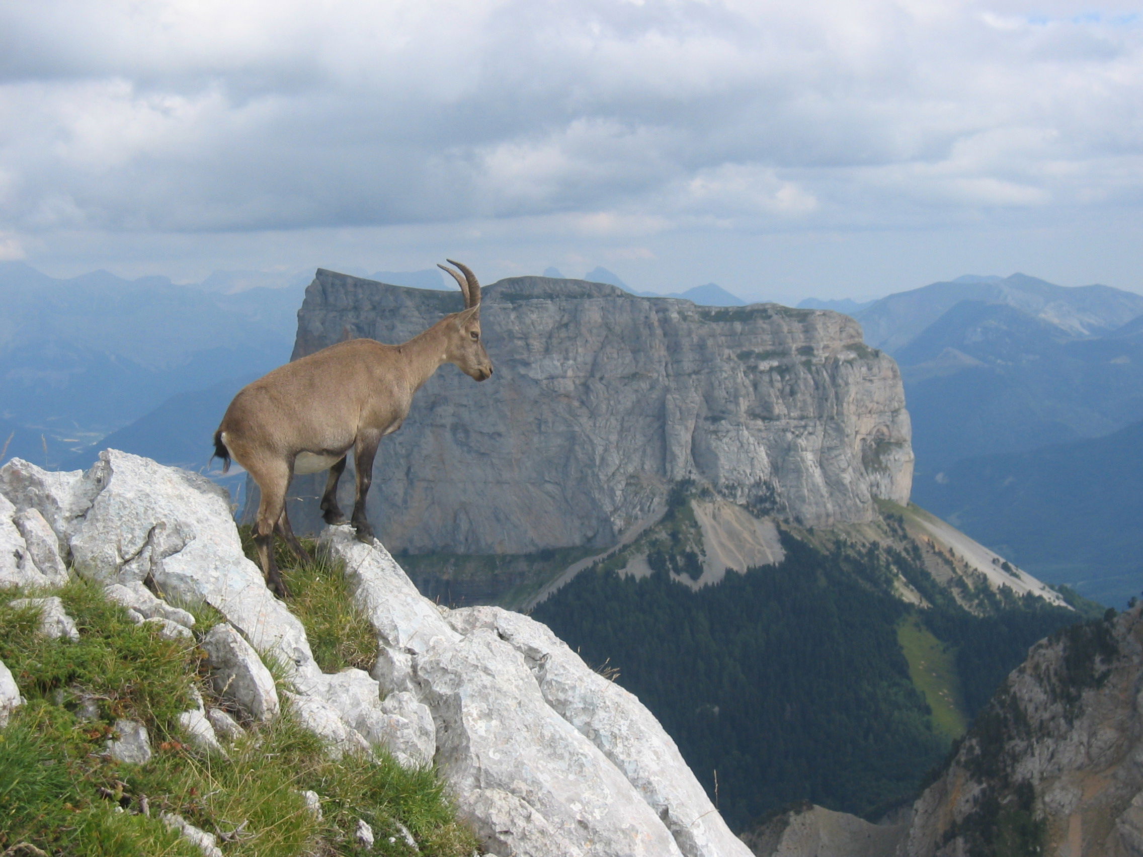 Monte aiguille, por Matthieu CARRY