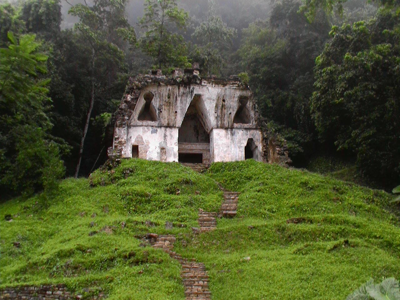 Lacandona Jungle in Tapachula: 4 reviews and 7 photos