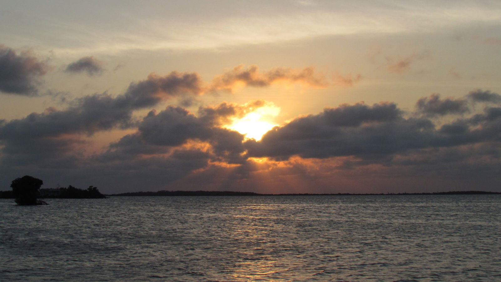 Isla de San Pedro, por Carmen Maria Verdu