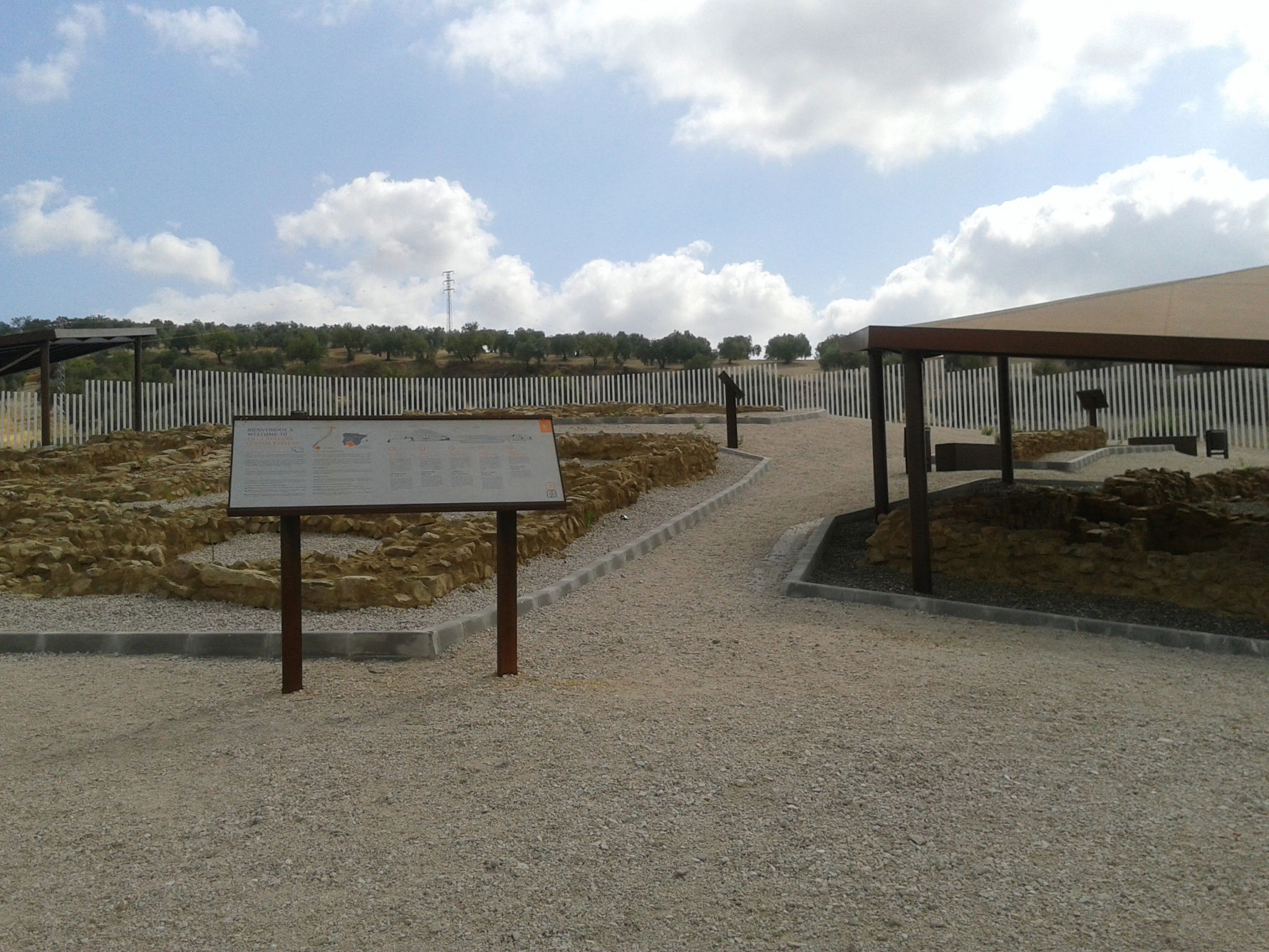 Yacimiento Cortijo Robledo, por Almudena