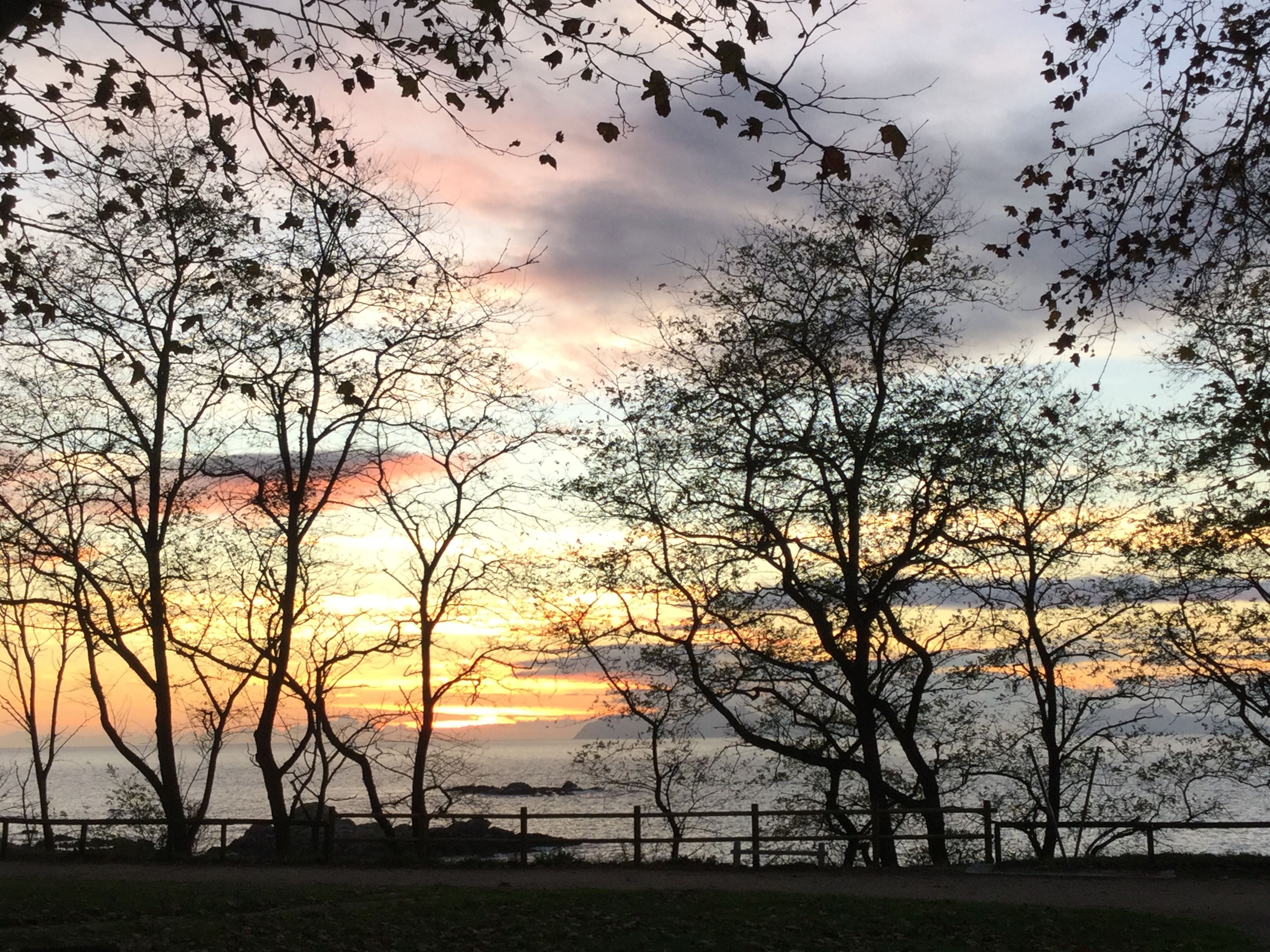 Parque Avenida de Samil, por Rosa Martinez - Viajo sola
