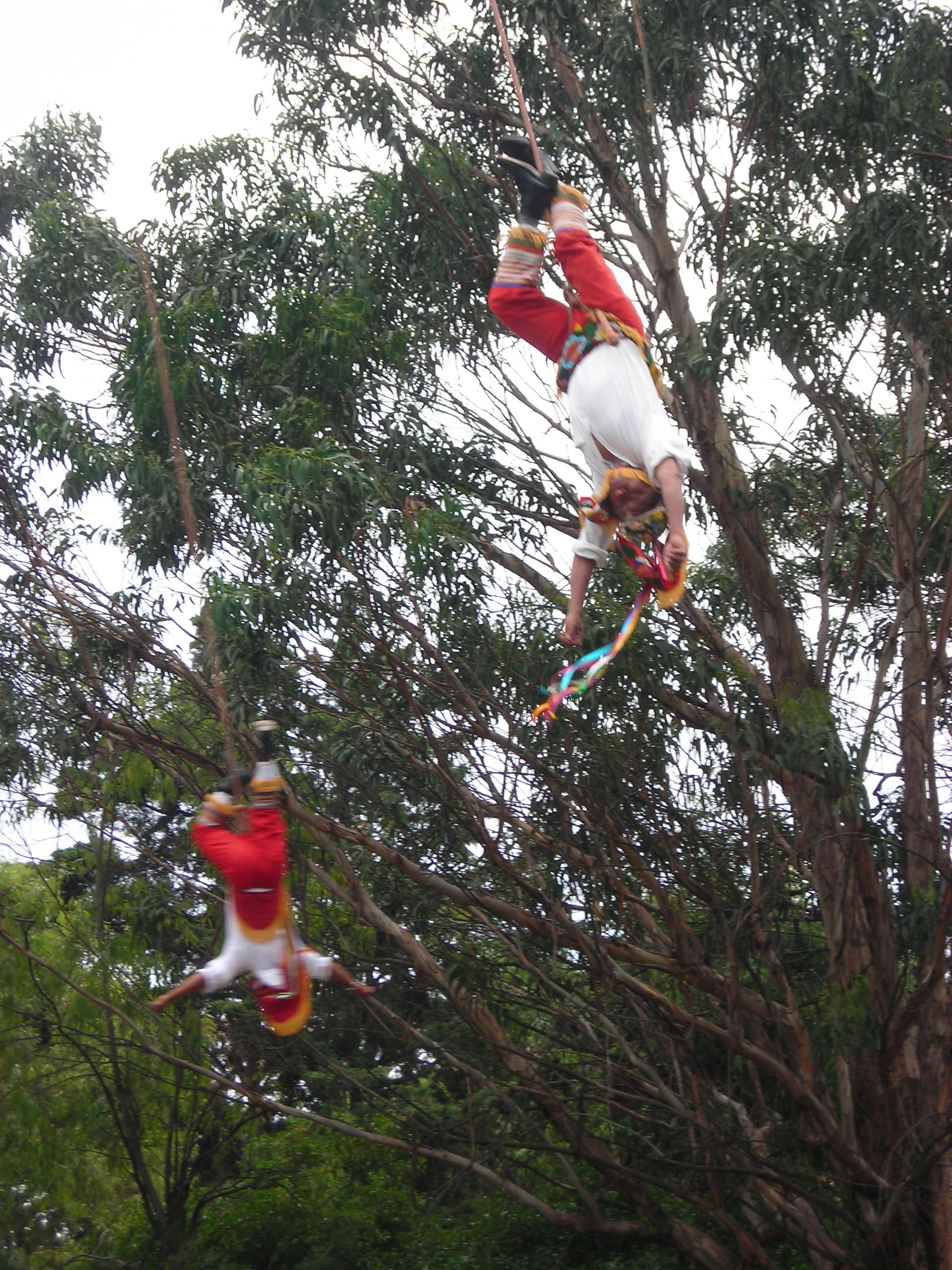 Los Voladores, por Hélène et Mathieu