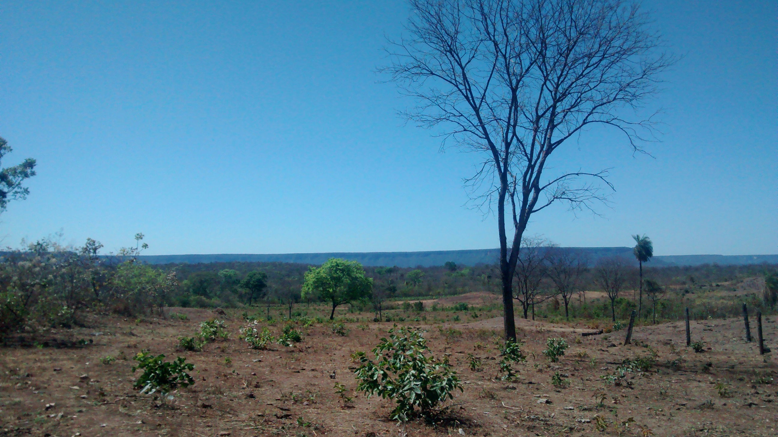 Centro histórico de Goiás, por Isamara Cardoso