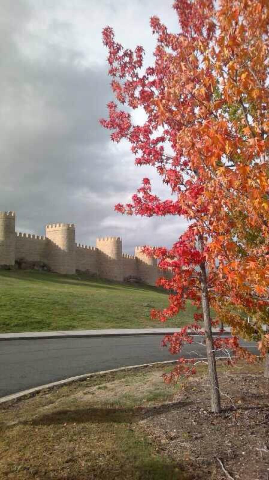 Lienzo Norte de la muralla, por Pilar Ferrer