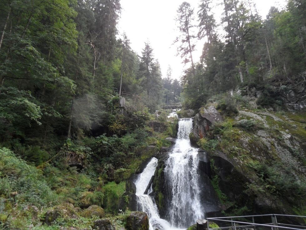 Camino de la Naturaleza, por Dónde vamos Eva