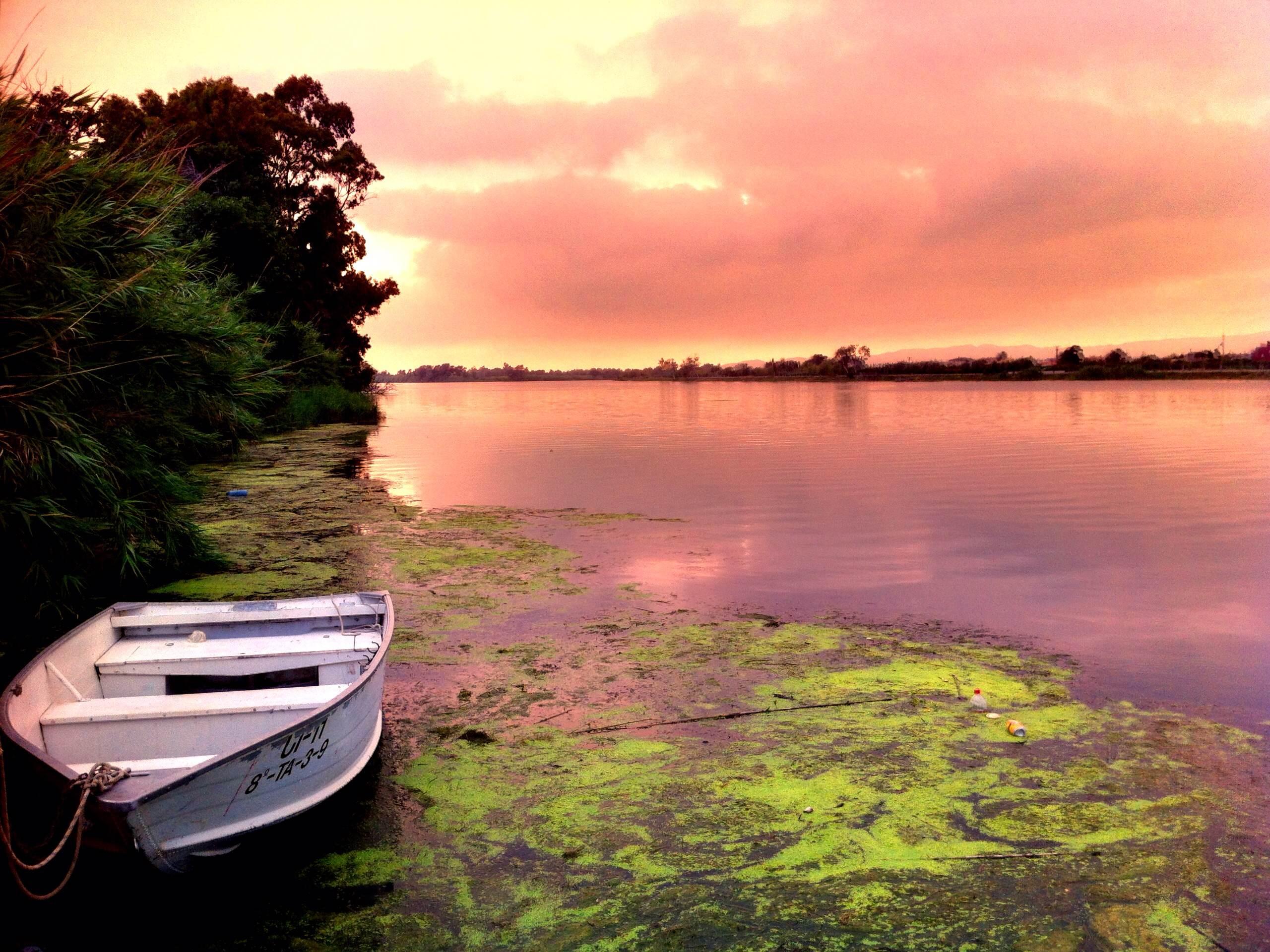 Parque Nacional del Delta del Ebro, por Jero