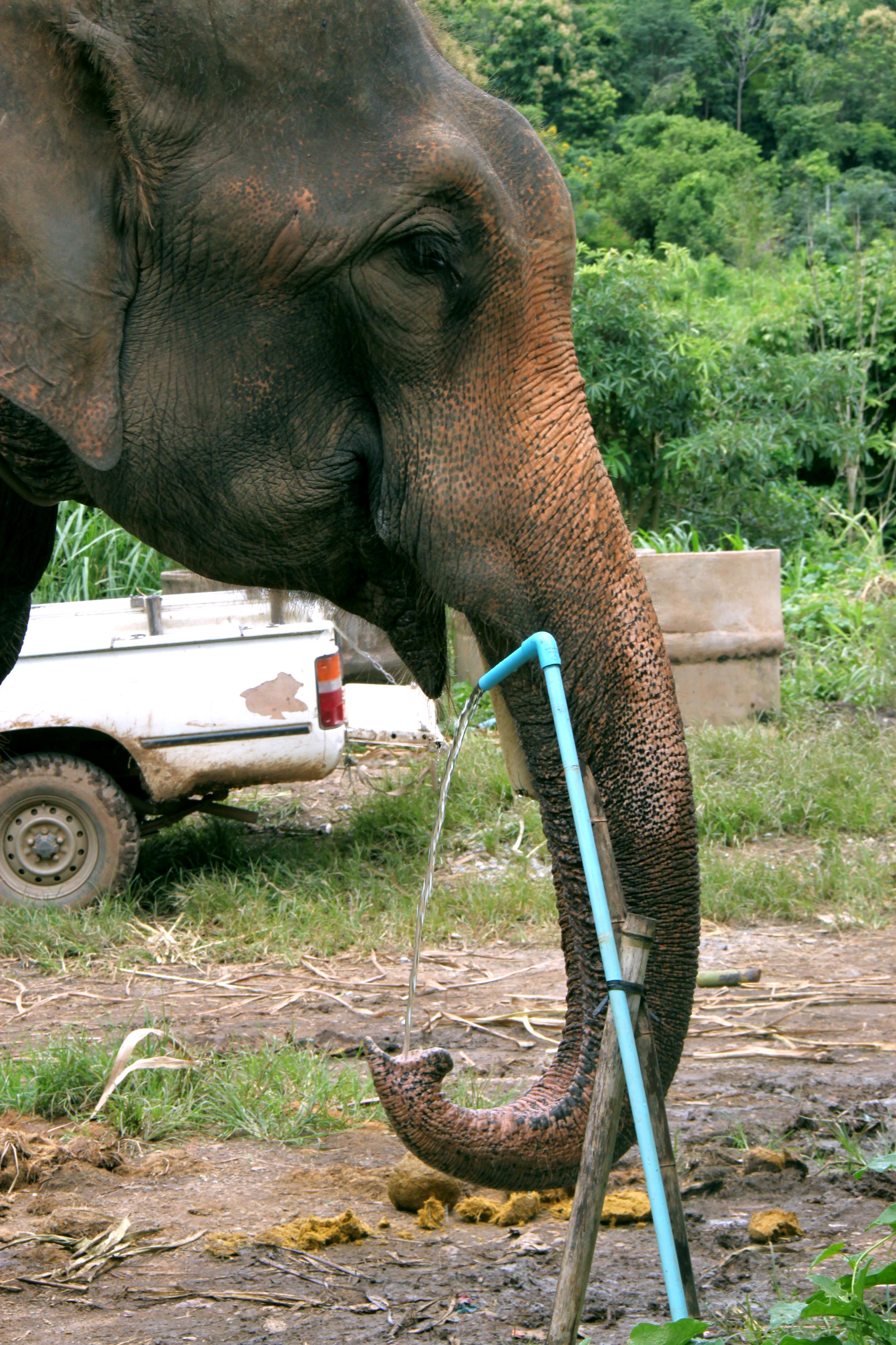 Chiang Mai, por Dani martin