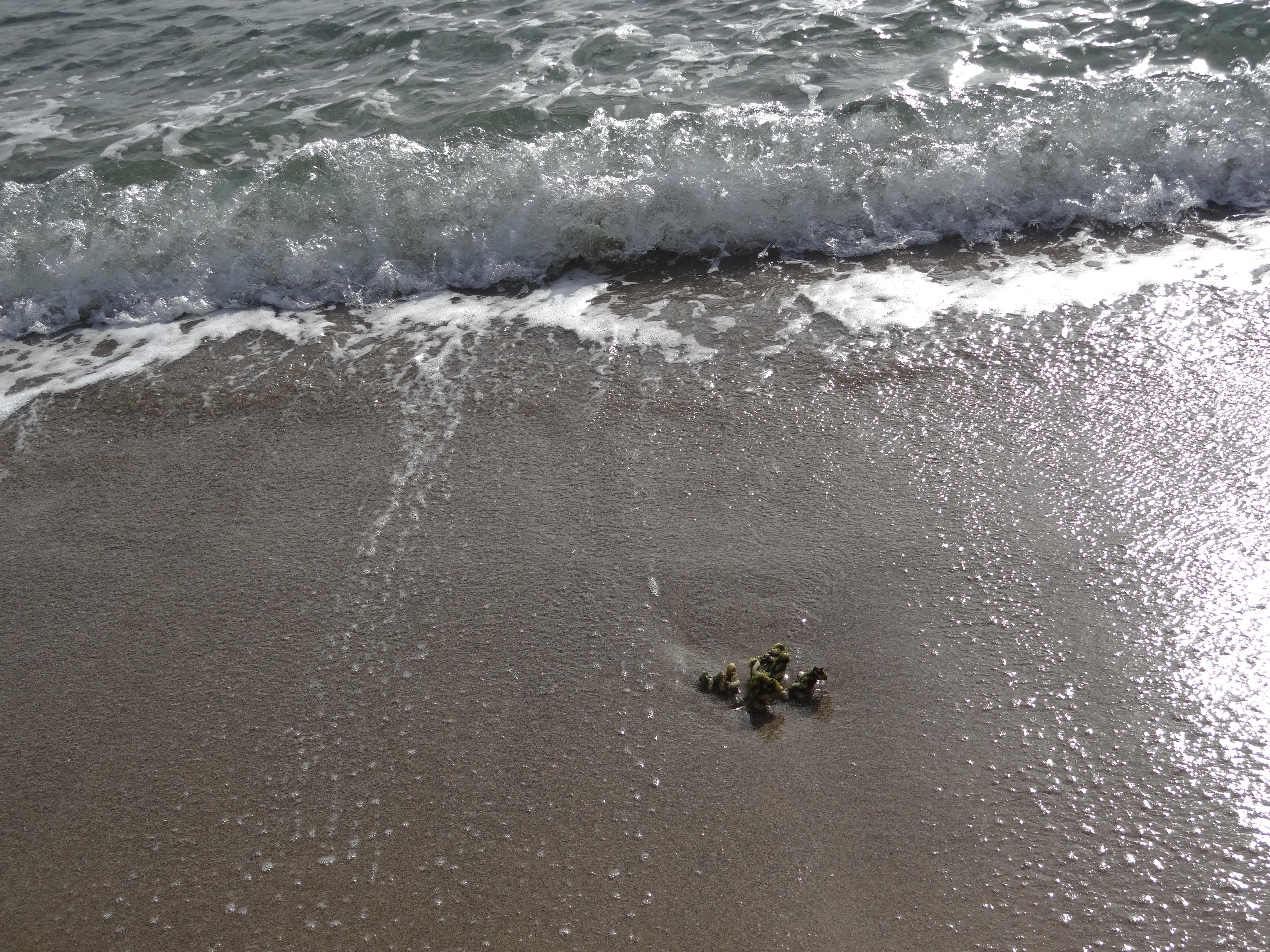 Platja de l'Alguer, por Vilma Duarte