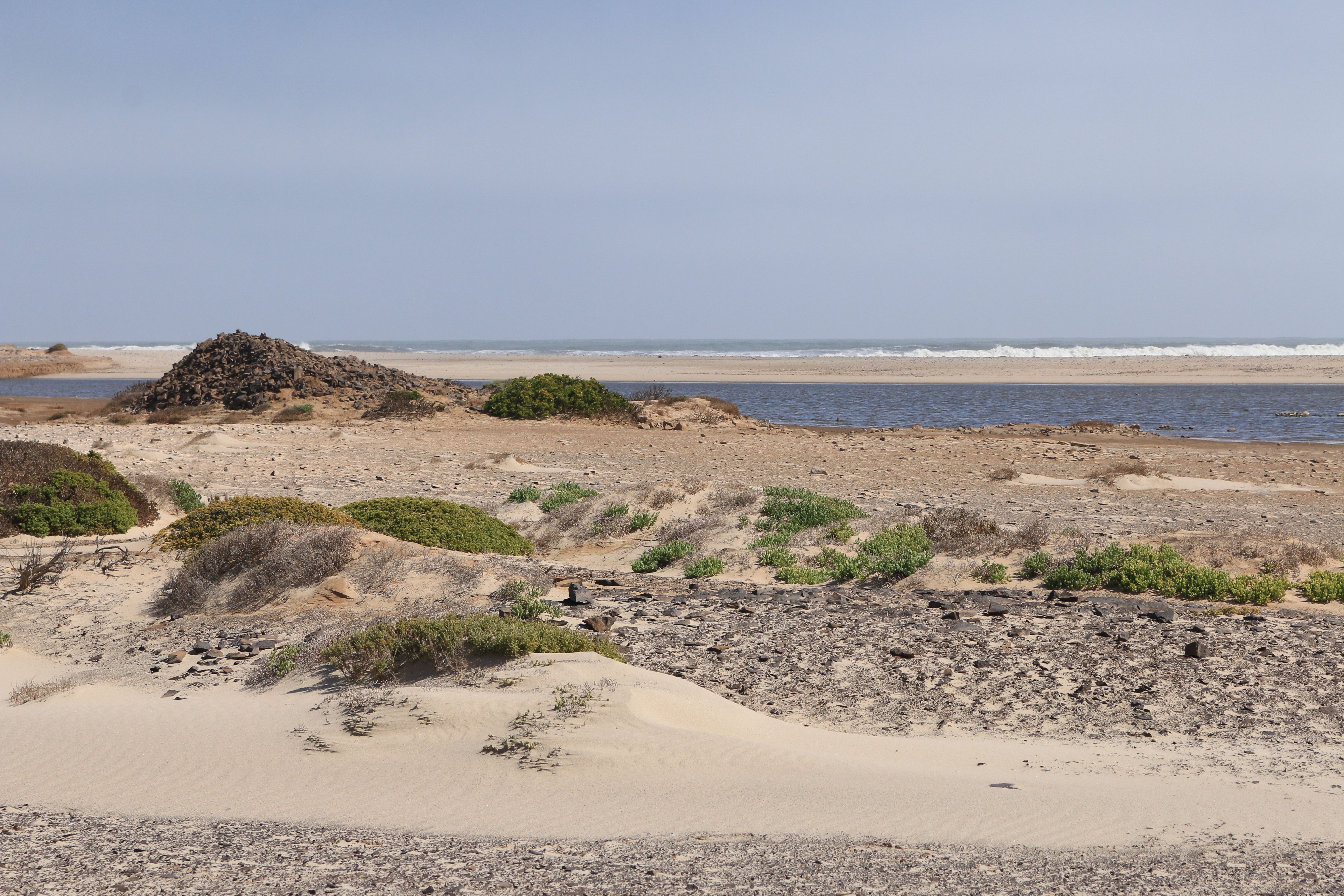 Costa de los Esqueletos, por Maria Cruz Díaz Antunes-Barradas