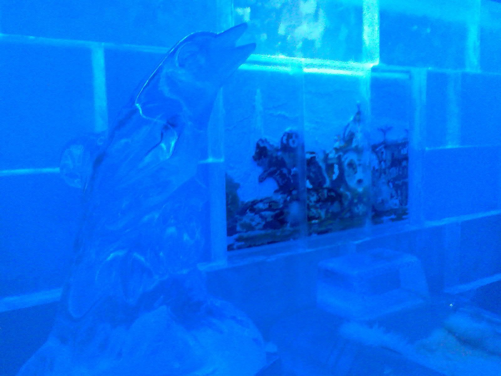 Ice Bar Madrid, por WillyFog