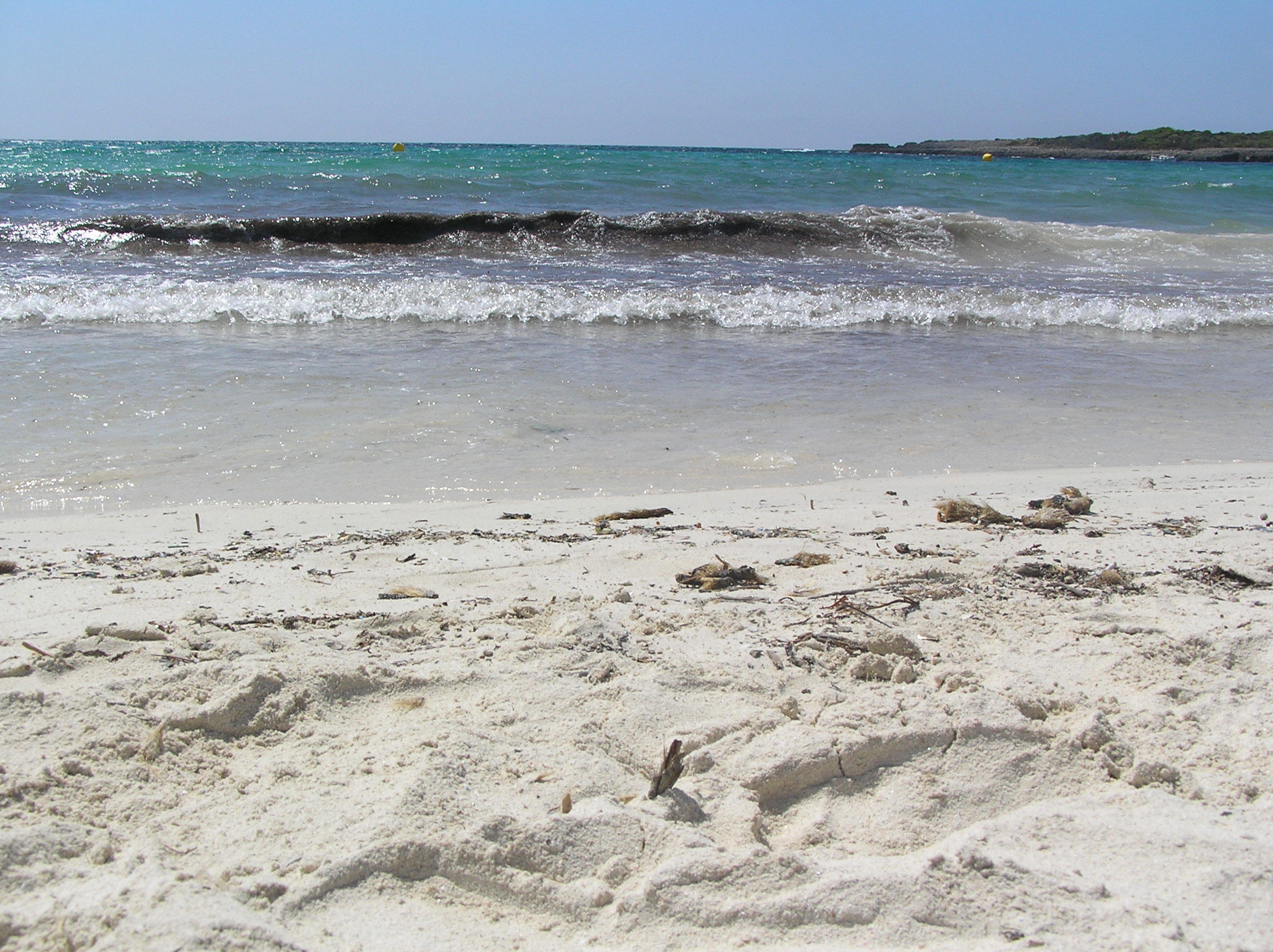 Spiaggia di Son Saura, por Simonetta Di Zanutto